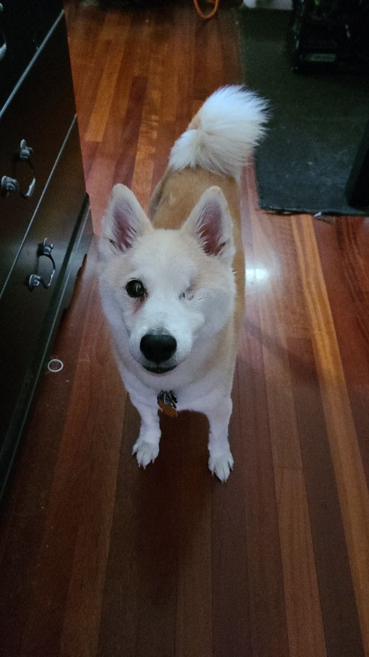 user avatar image for Alex Bauer