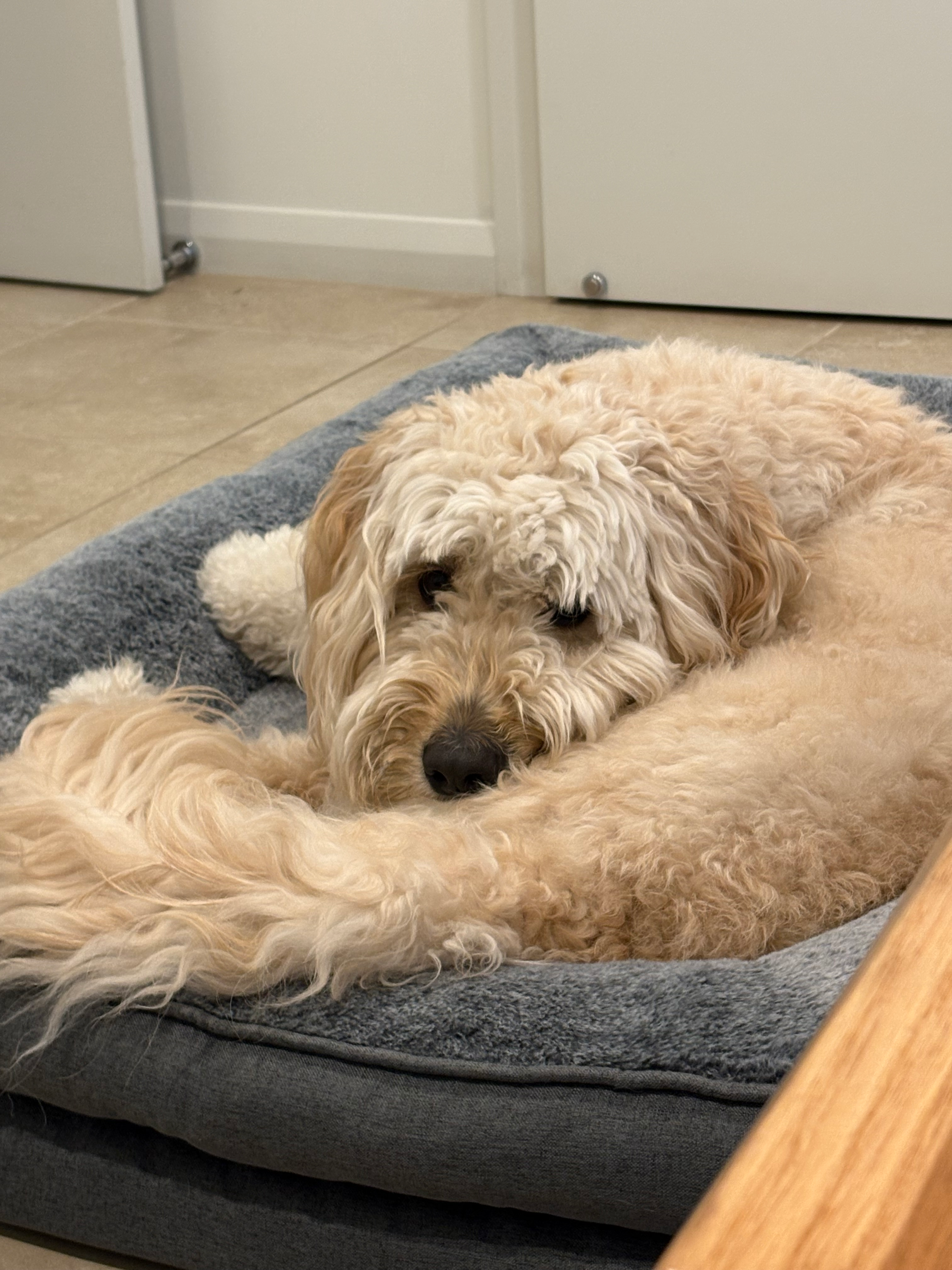 user avatar image for Matt