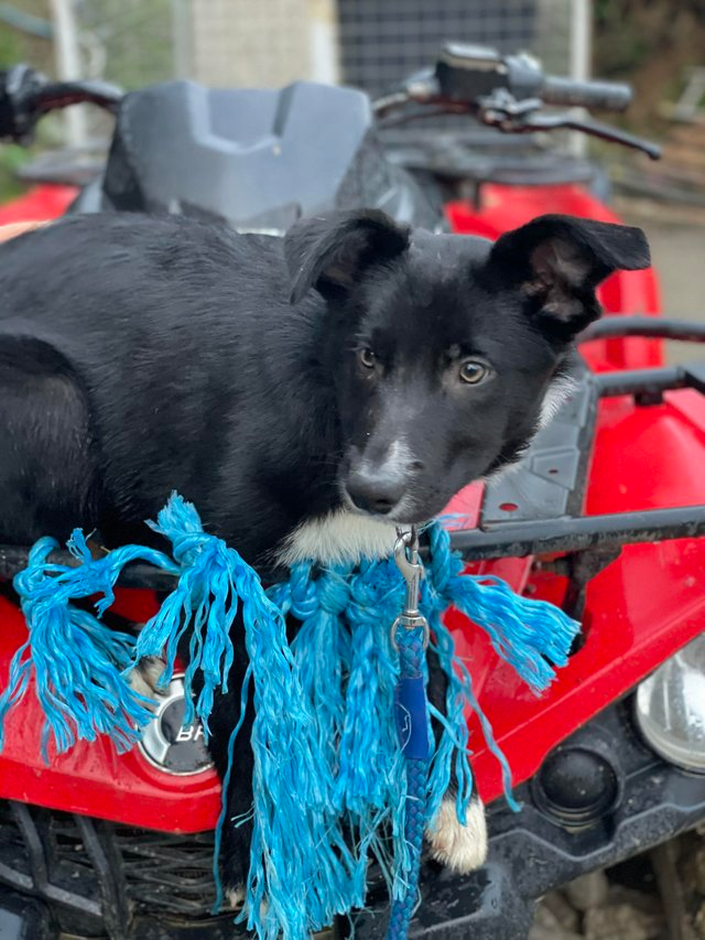 user avatar image for Indialk