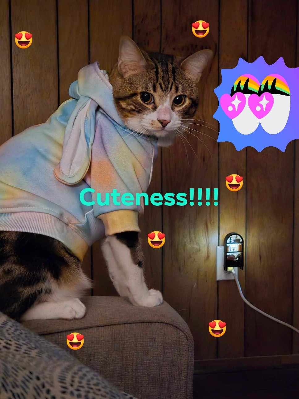 user avatar image for Natosha