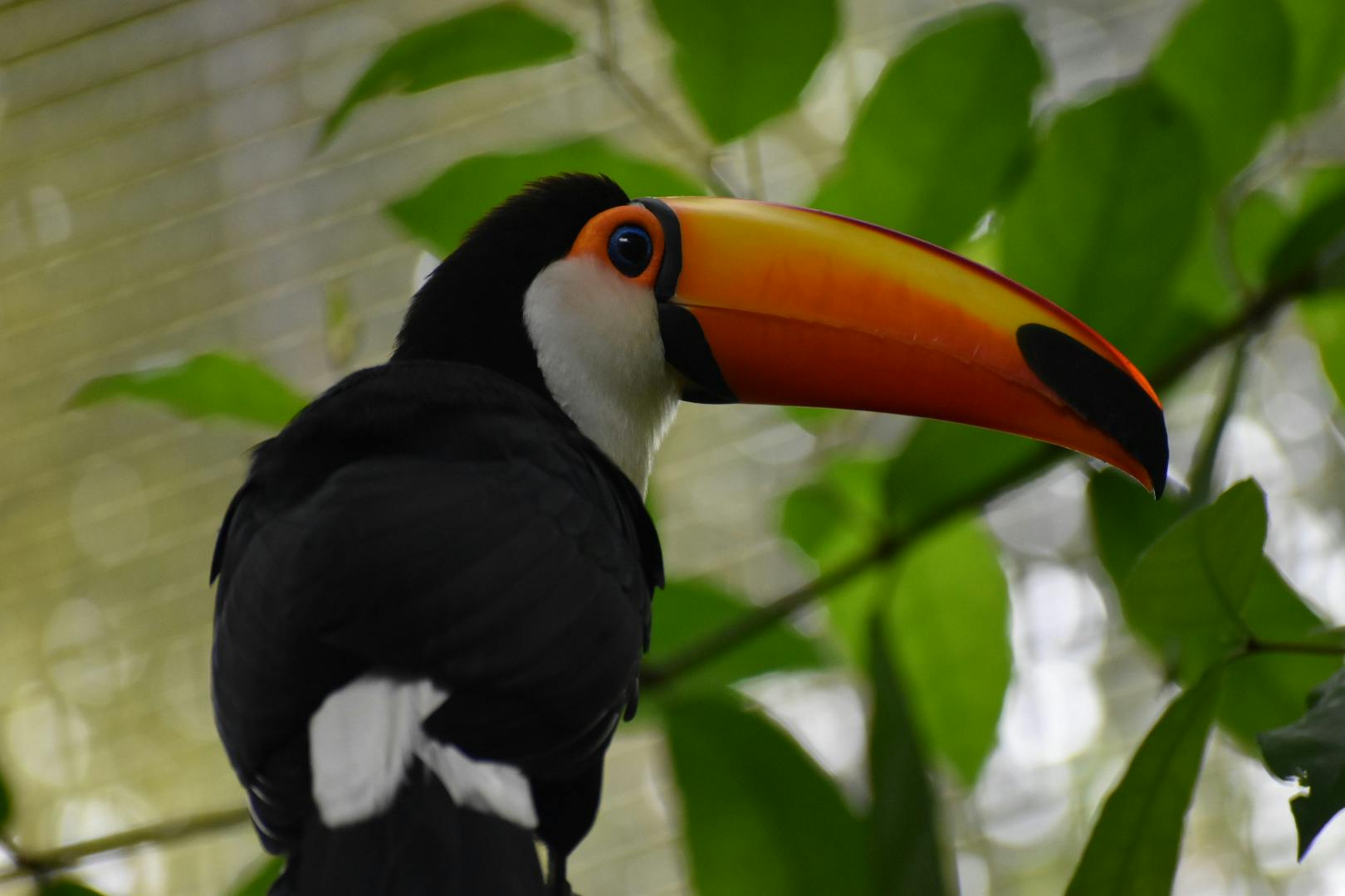 user avatar image for Meghan Conover