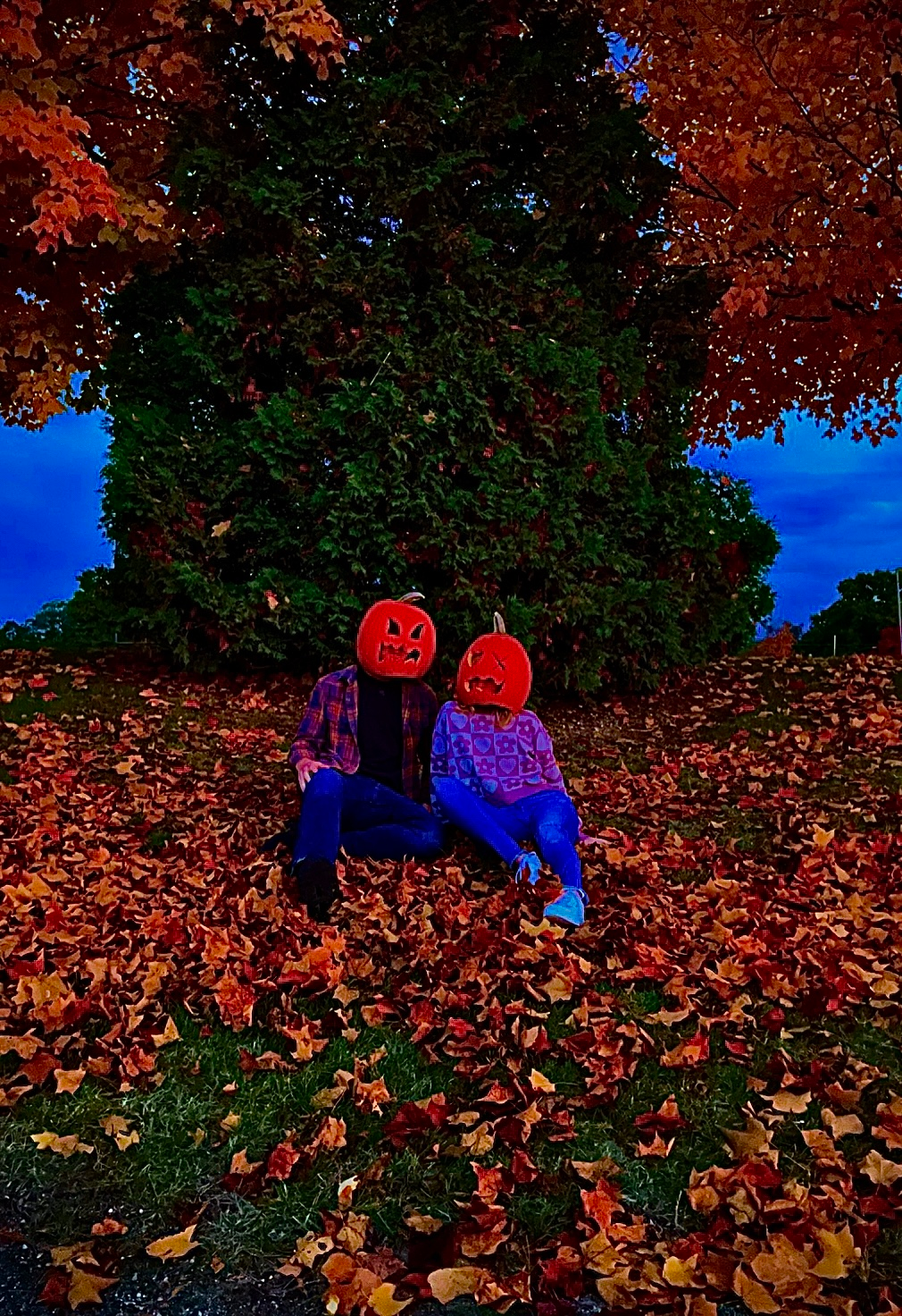user avatar image for Logann J