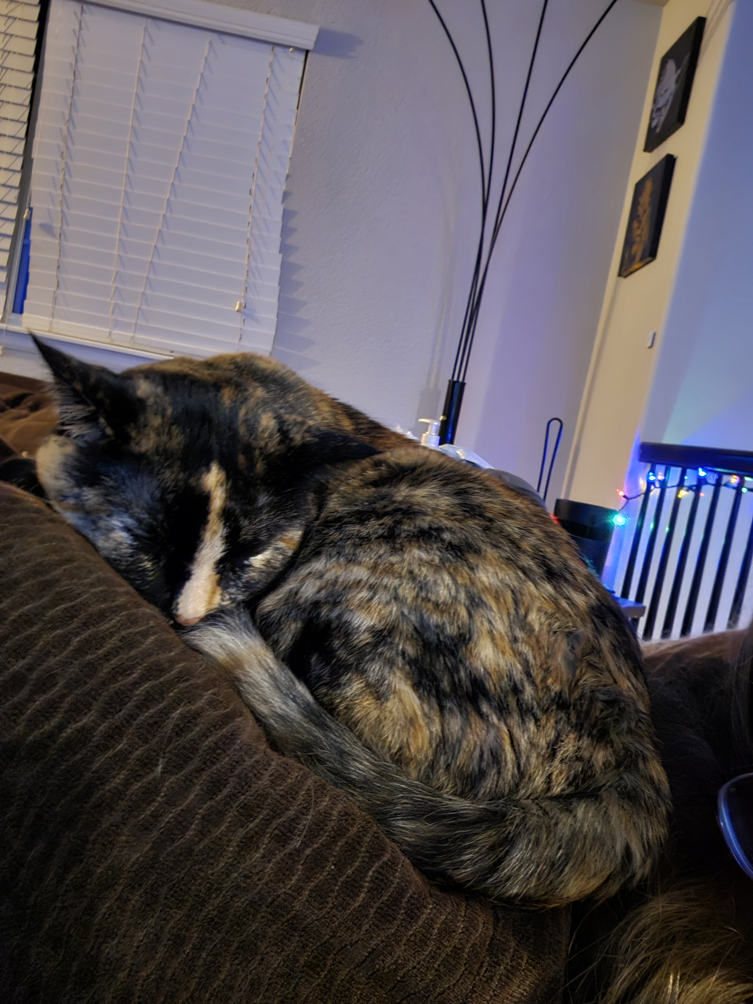 user avatar image for Katy Kara