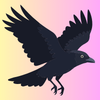 Crows- Community & communication