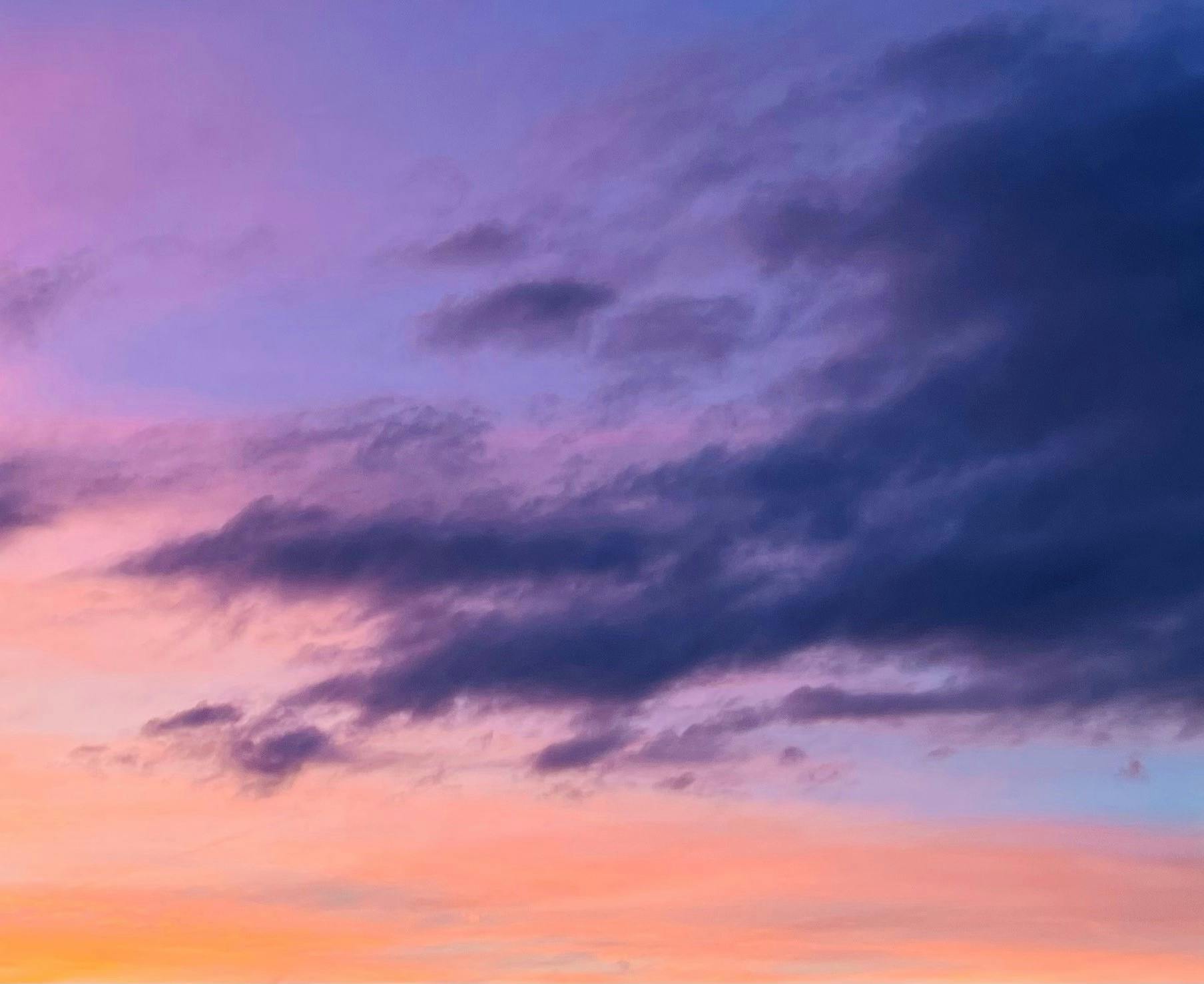 user avatar image for Sarah