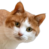 user avatar image for Katherine