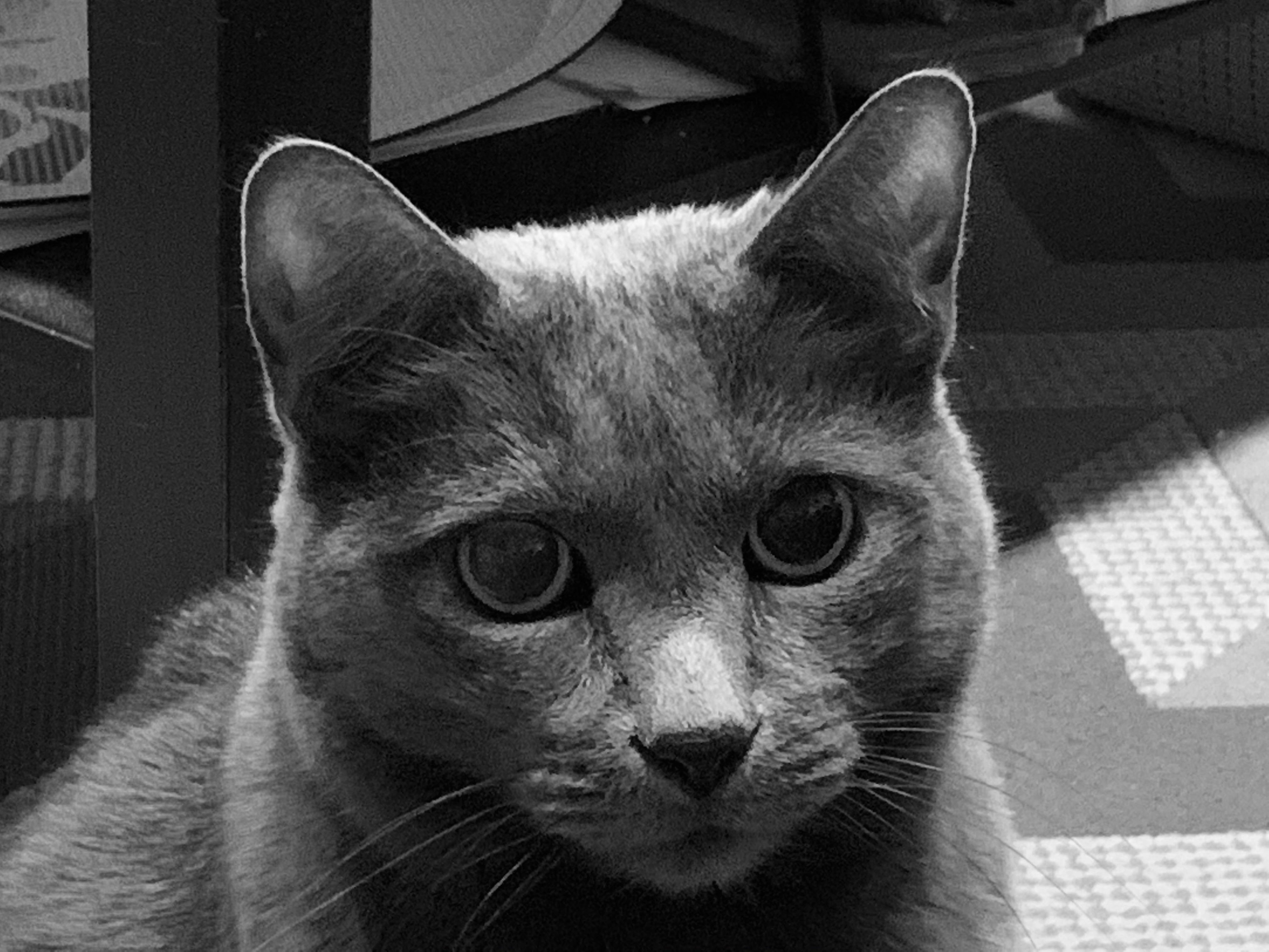 user avatar image for Amy Norton