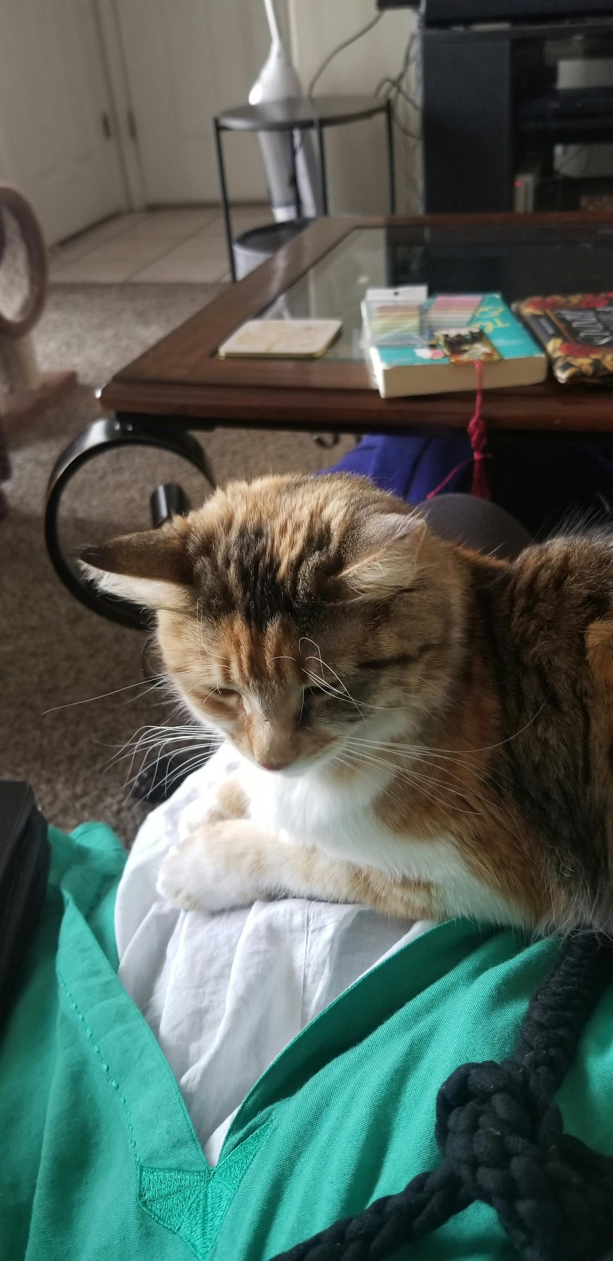 user avatar image for Tirzah