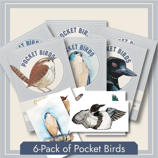 Six-Pack of Pocket Birds