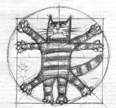 user avatar image for Roberto Bussetti