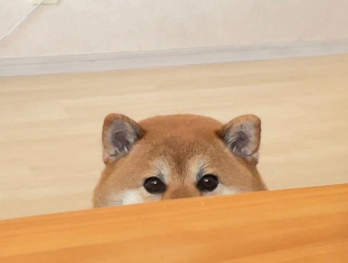 user avatar image for BloodRedWidow