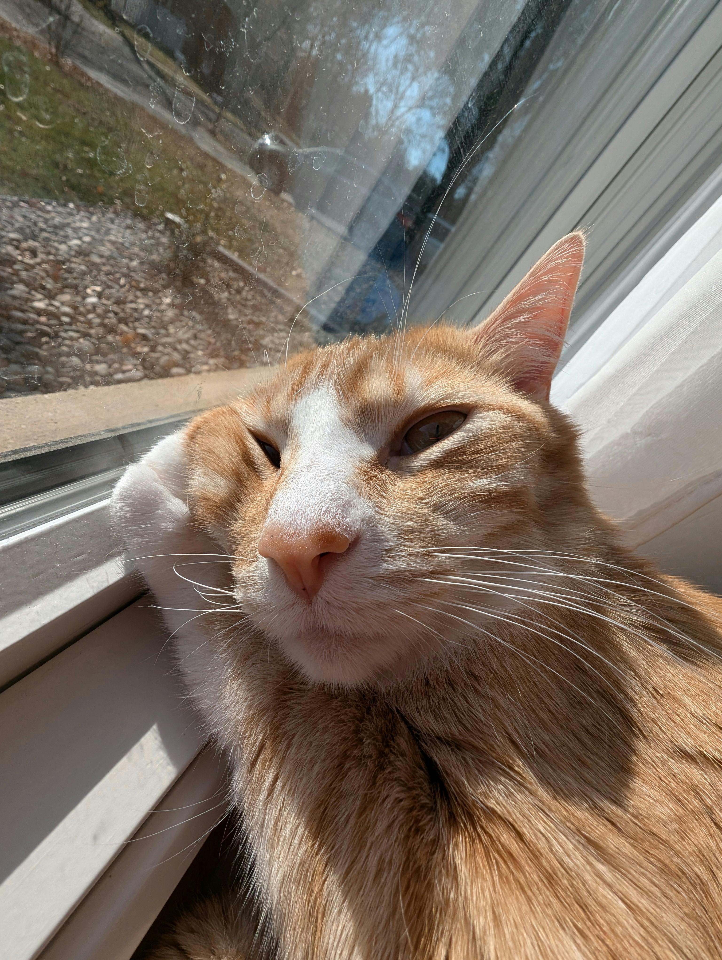 user avatar image for Ken Kavanaugh