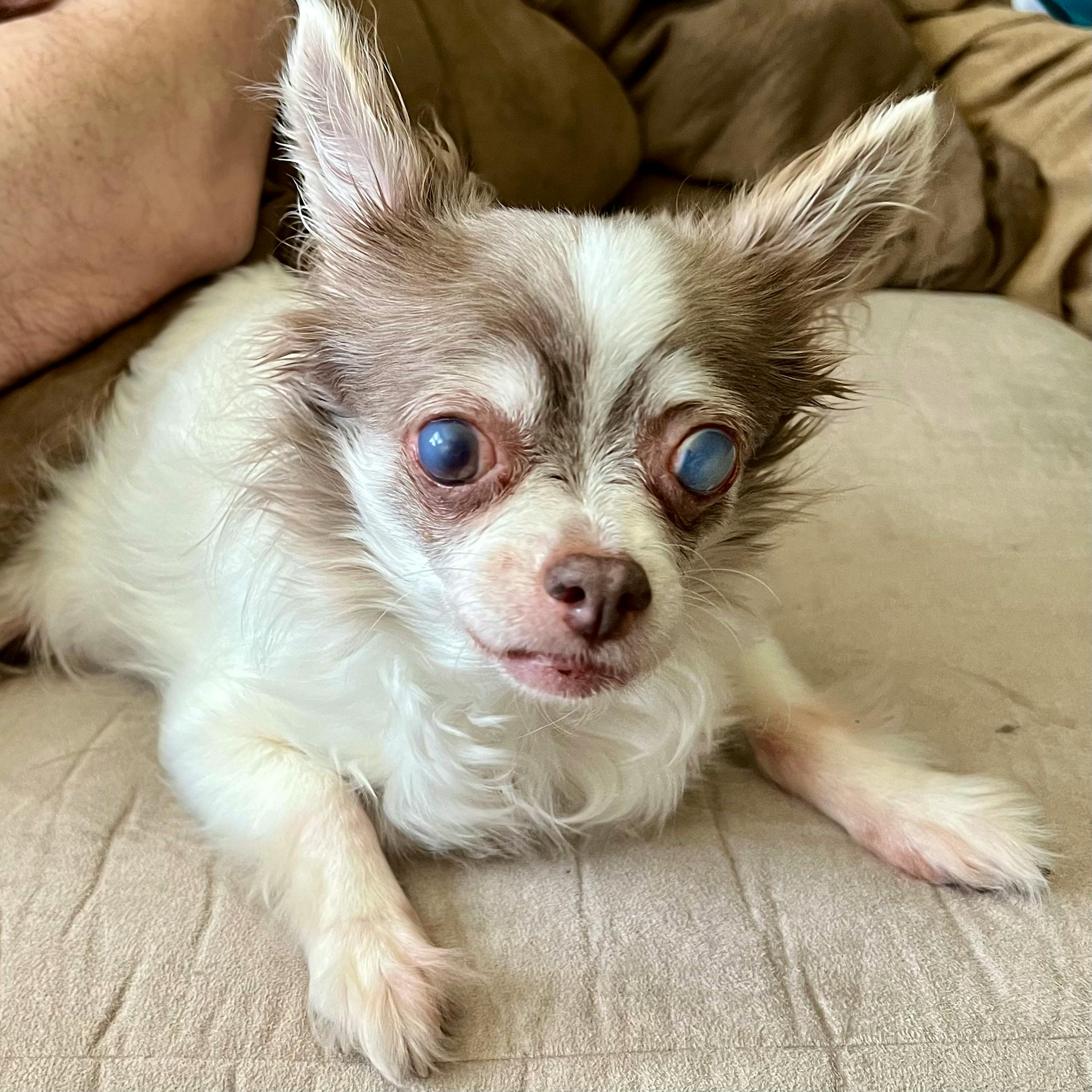 user avatar image for Gummiwise