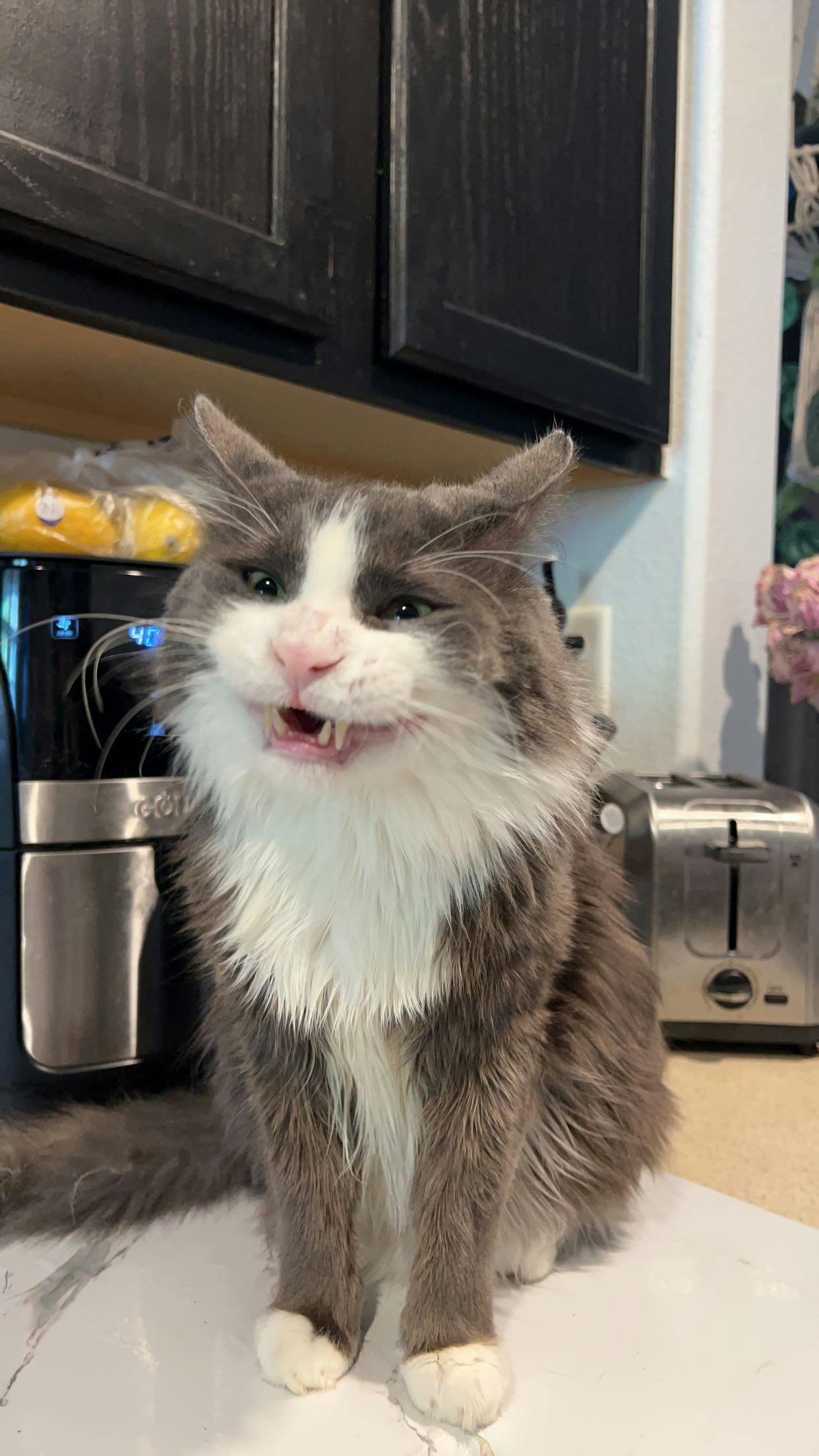 user avatar image for Ash