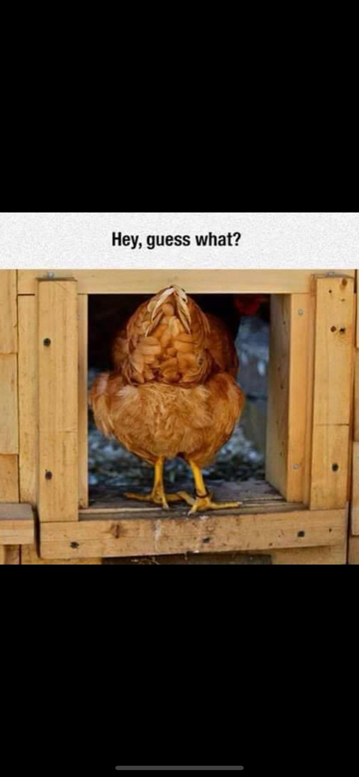 user avatar image for Beson