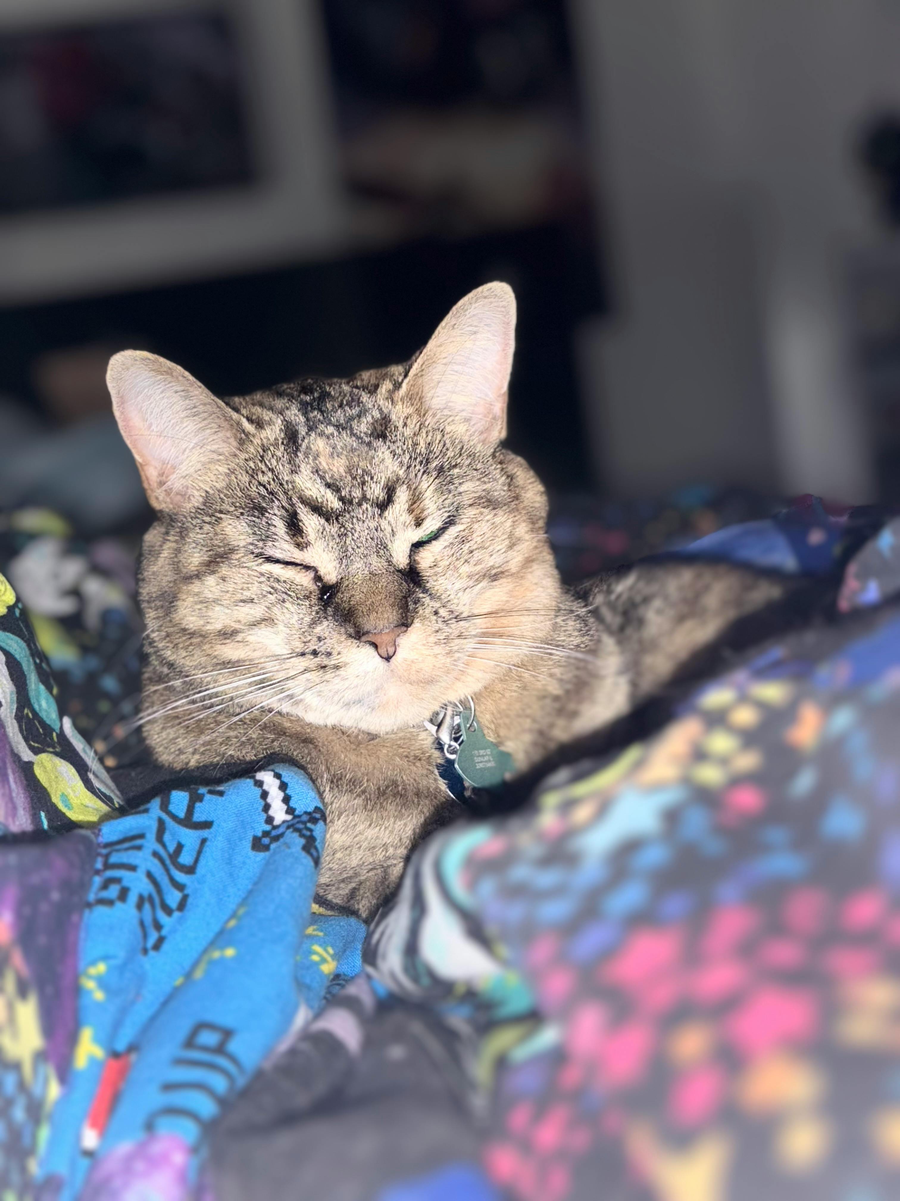 user avatar image for Sam 