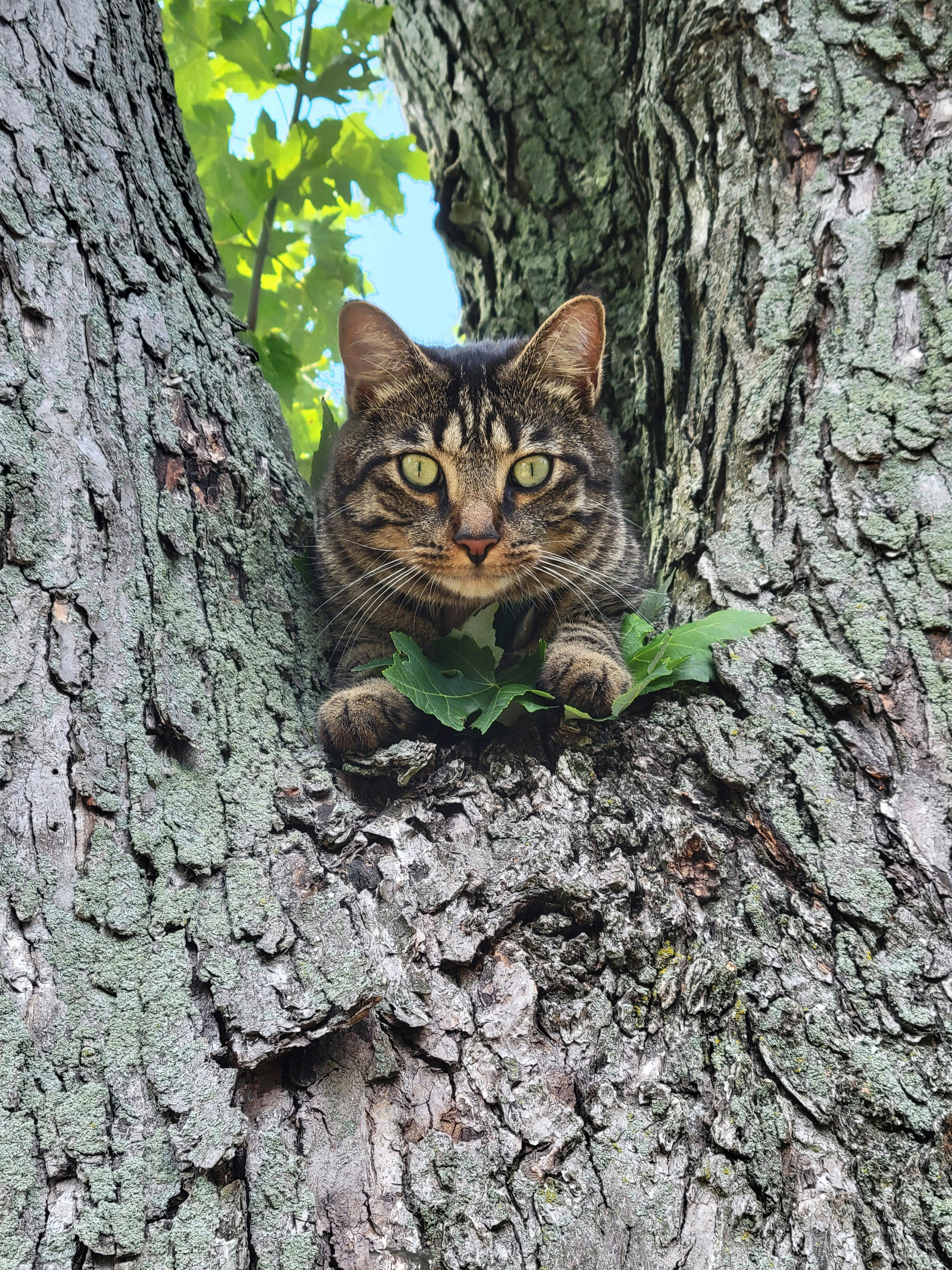 user avatar image for AndyInCleveland