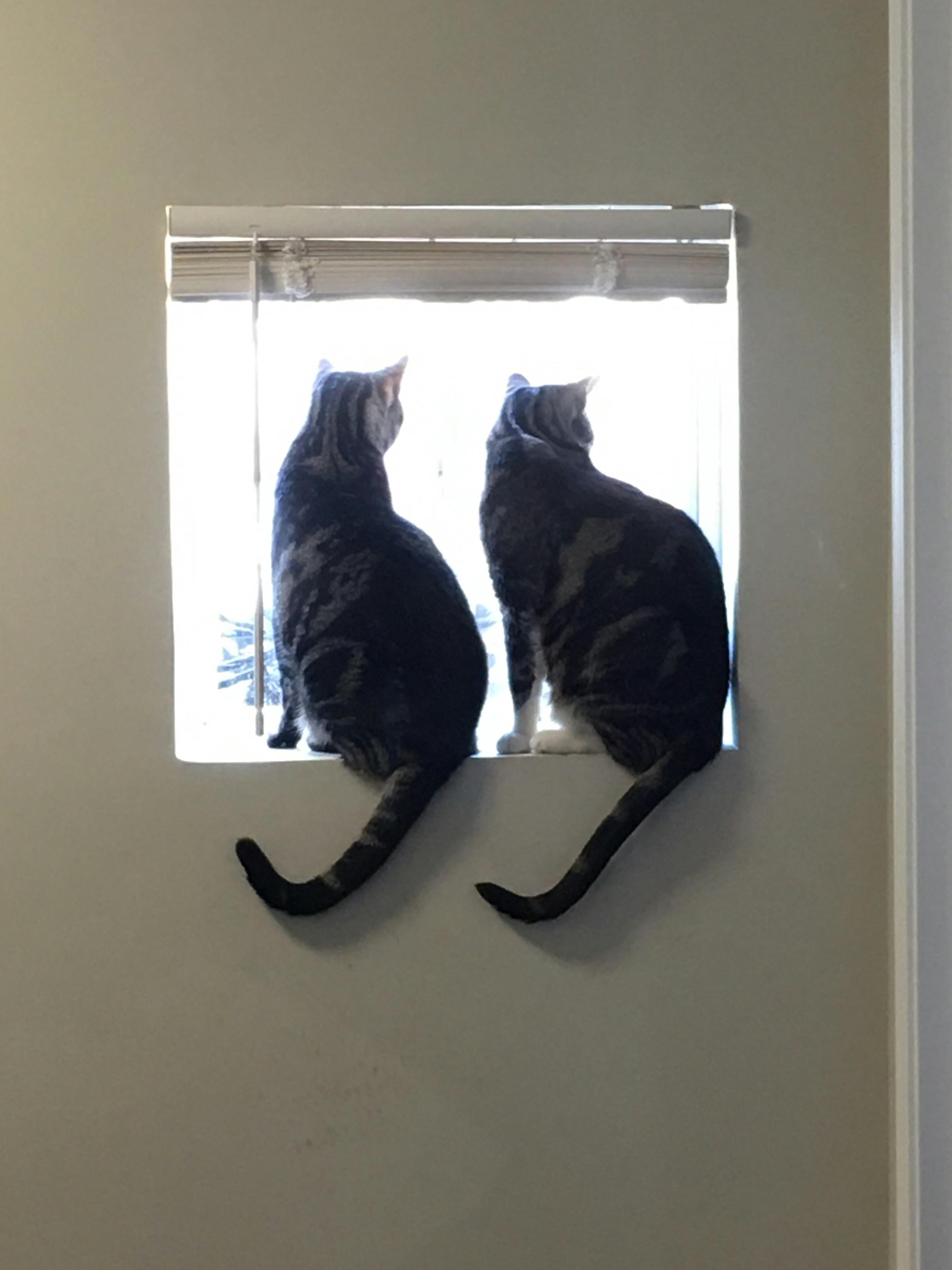 user avatar image for Jessica Lachelle Hausoul