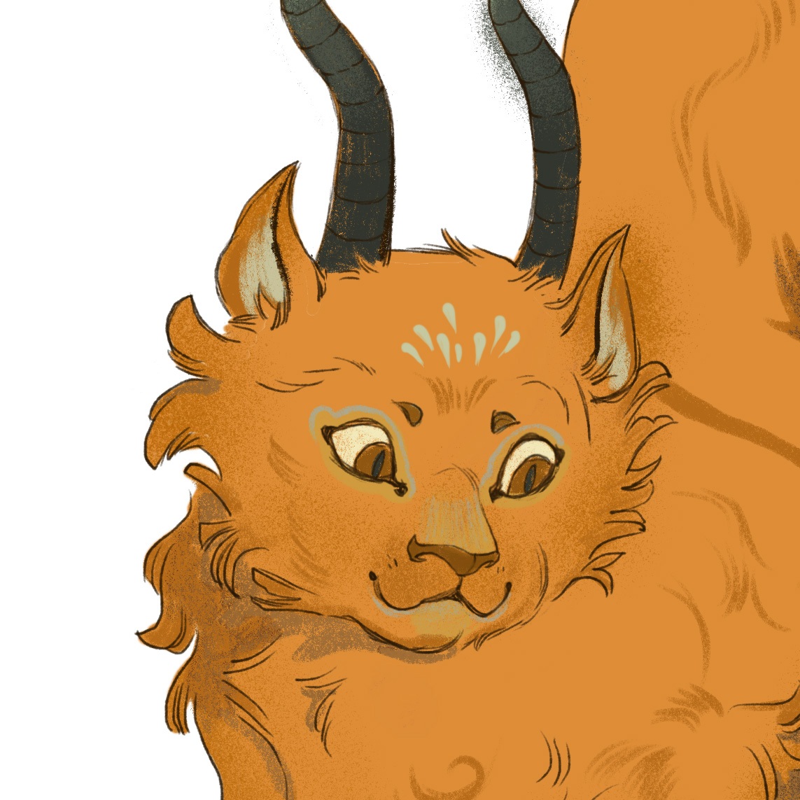 The Calopus Cat