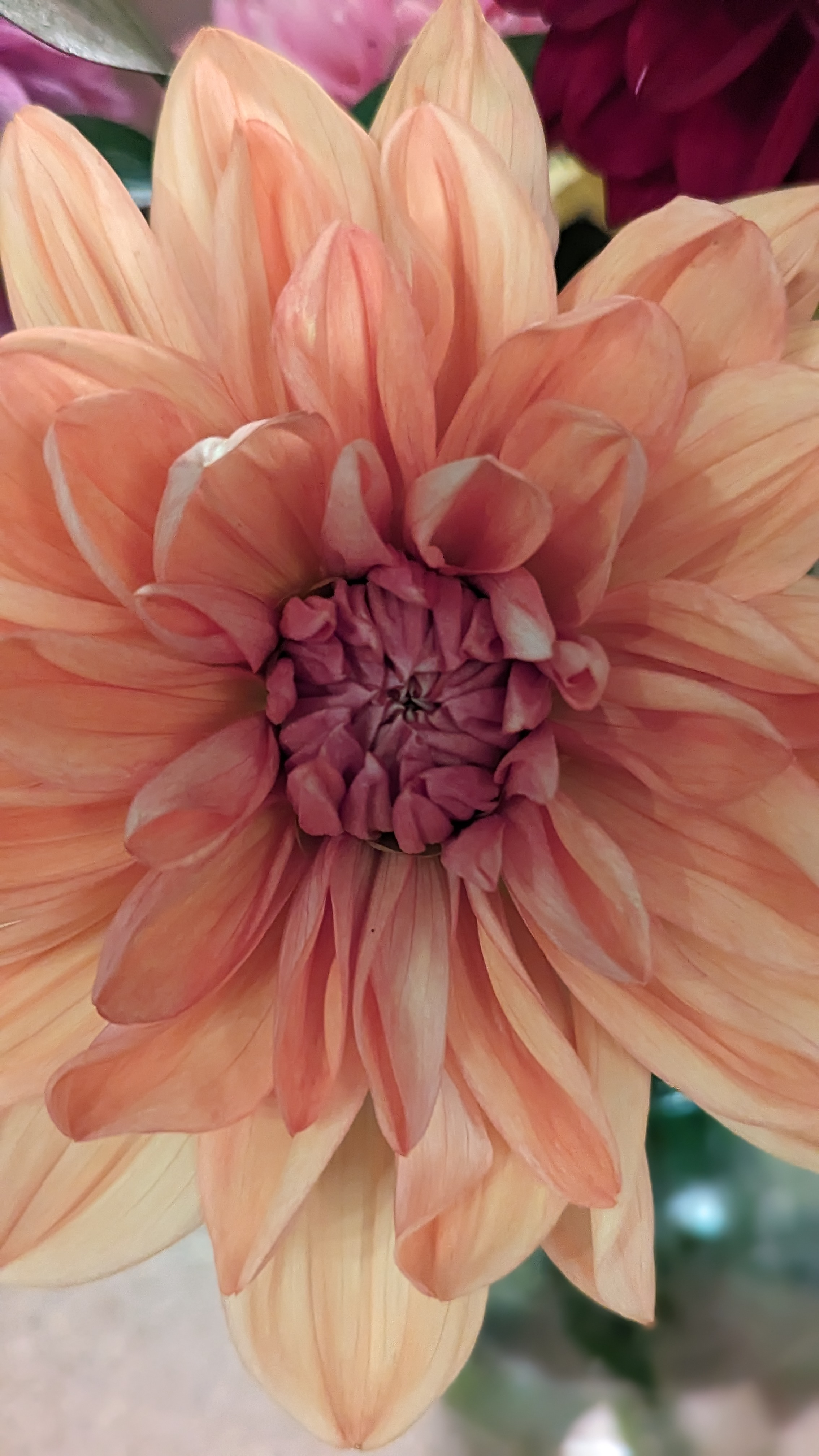 user avatar image for Elizabeth Nakashima