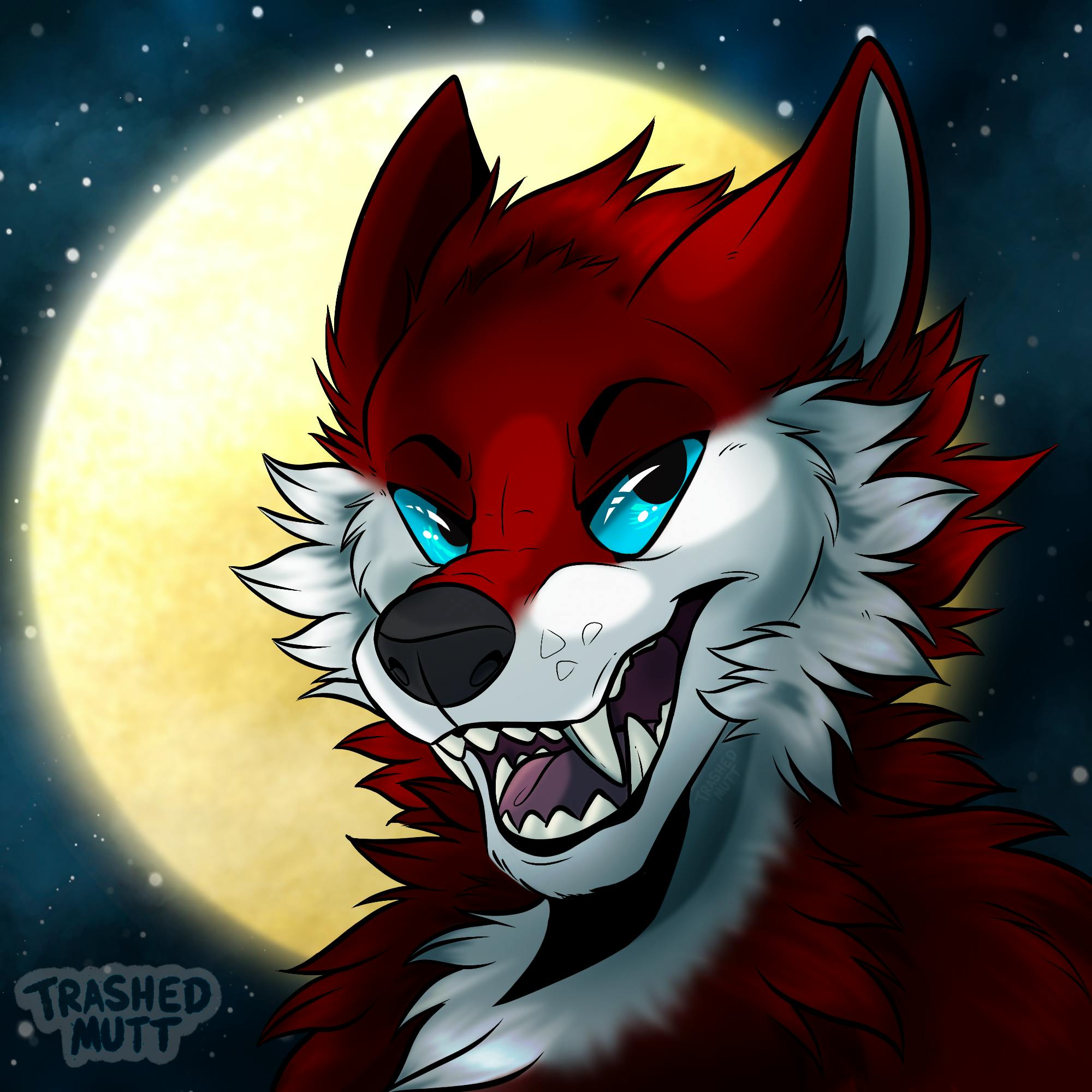 user avatar image for Kimma Troup