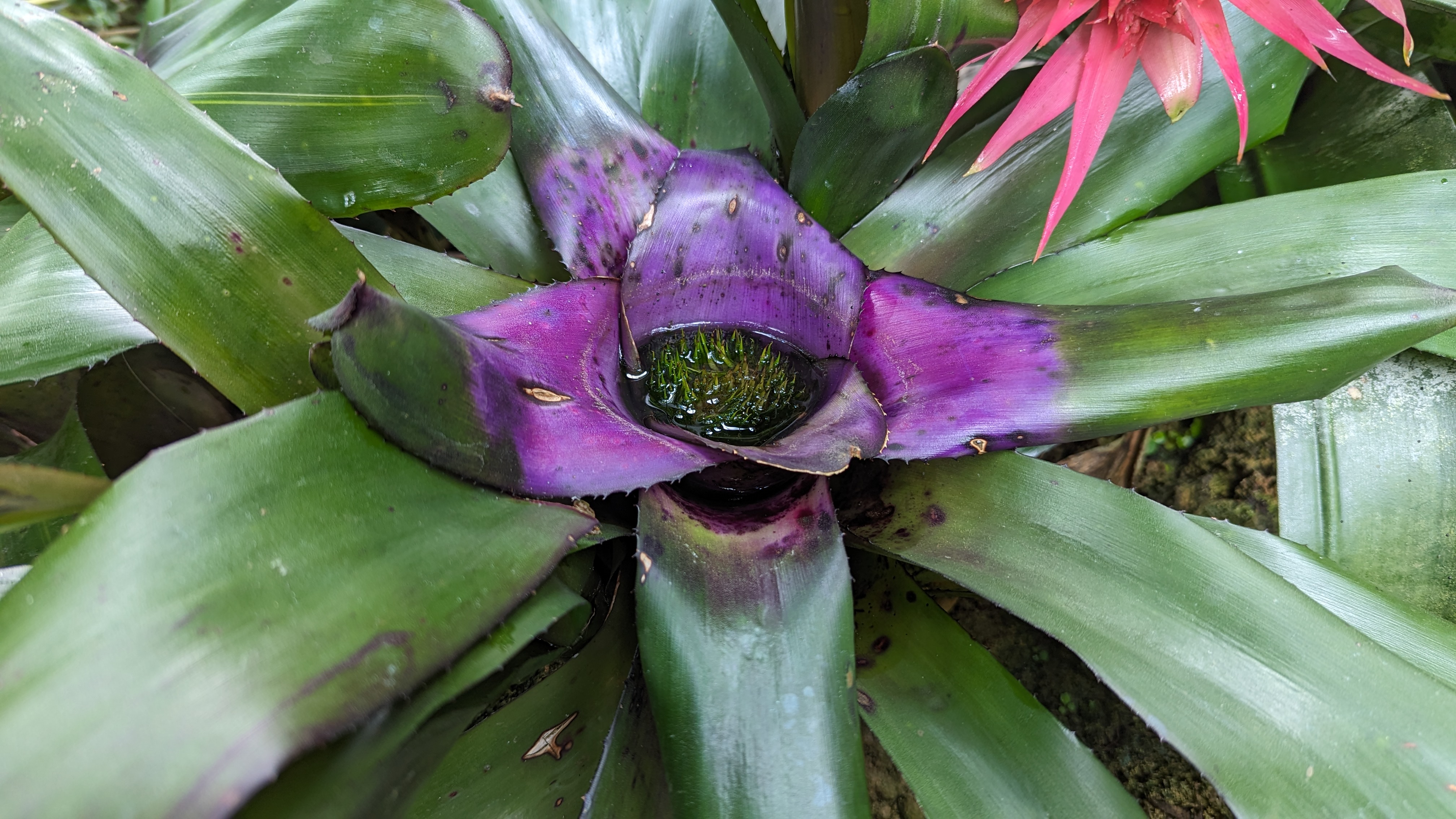 user avatar image for evilpigking