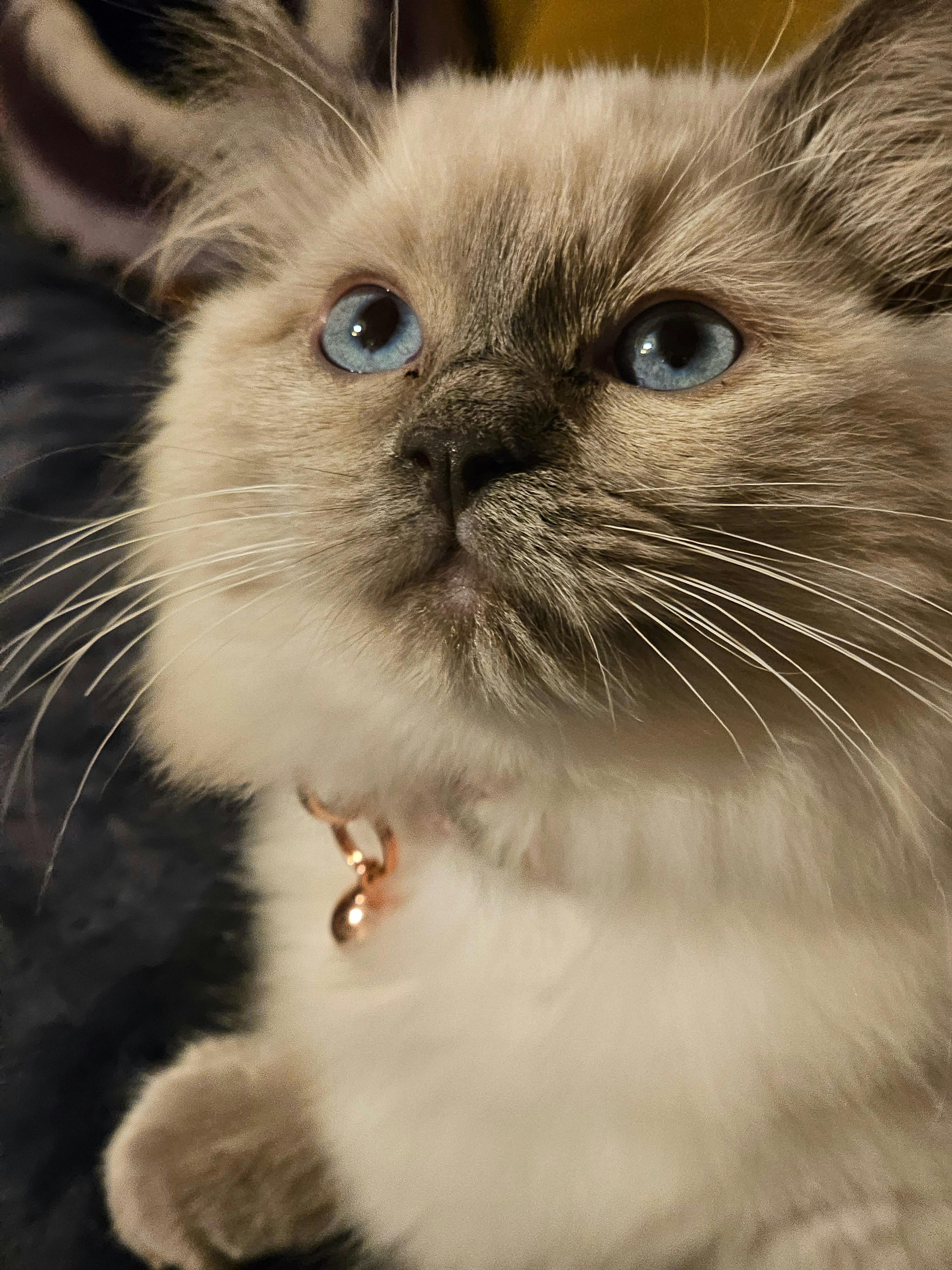 user avatar image for Kate Rae