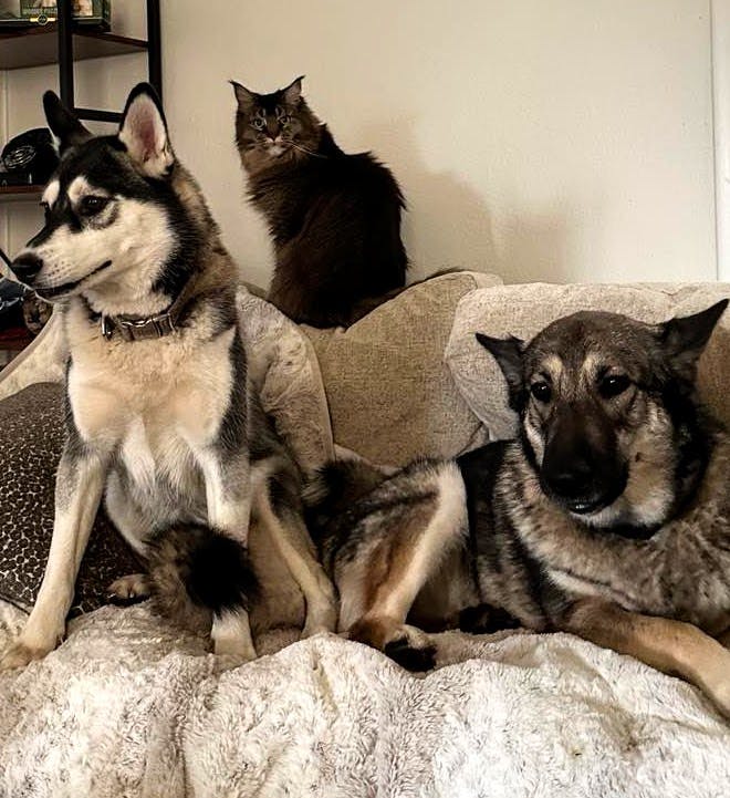 user avatar image for Valdier