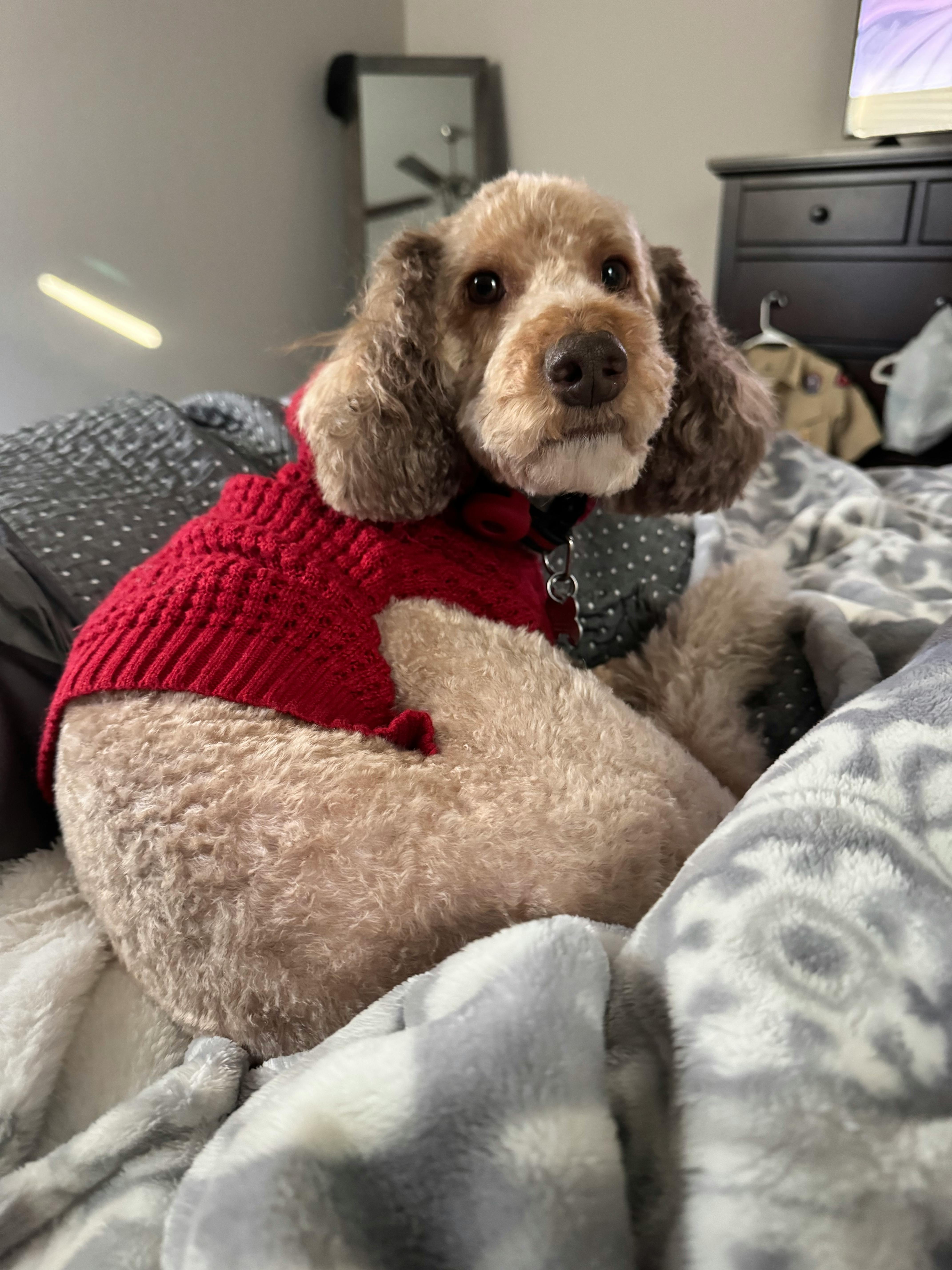 user avatar image for Diana G