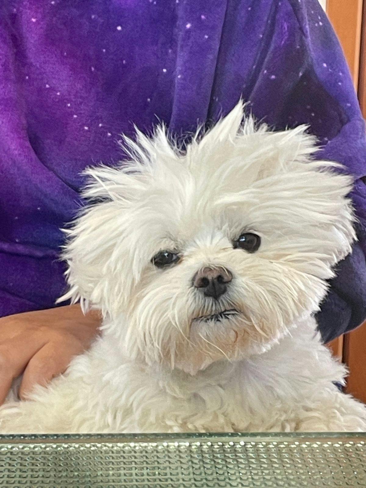 user avatar image for Jose Augusto Acker