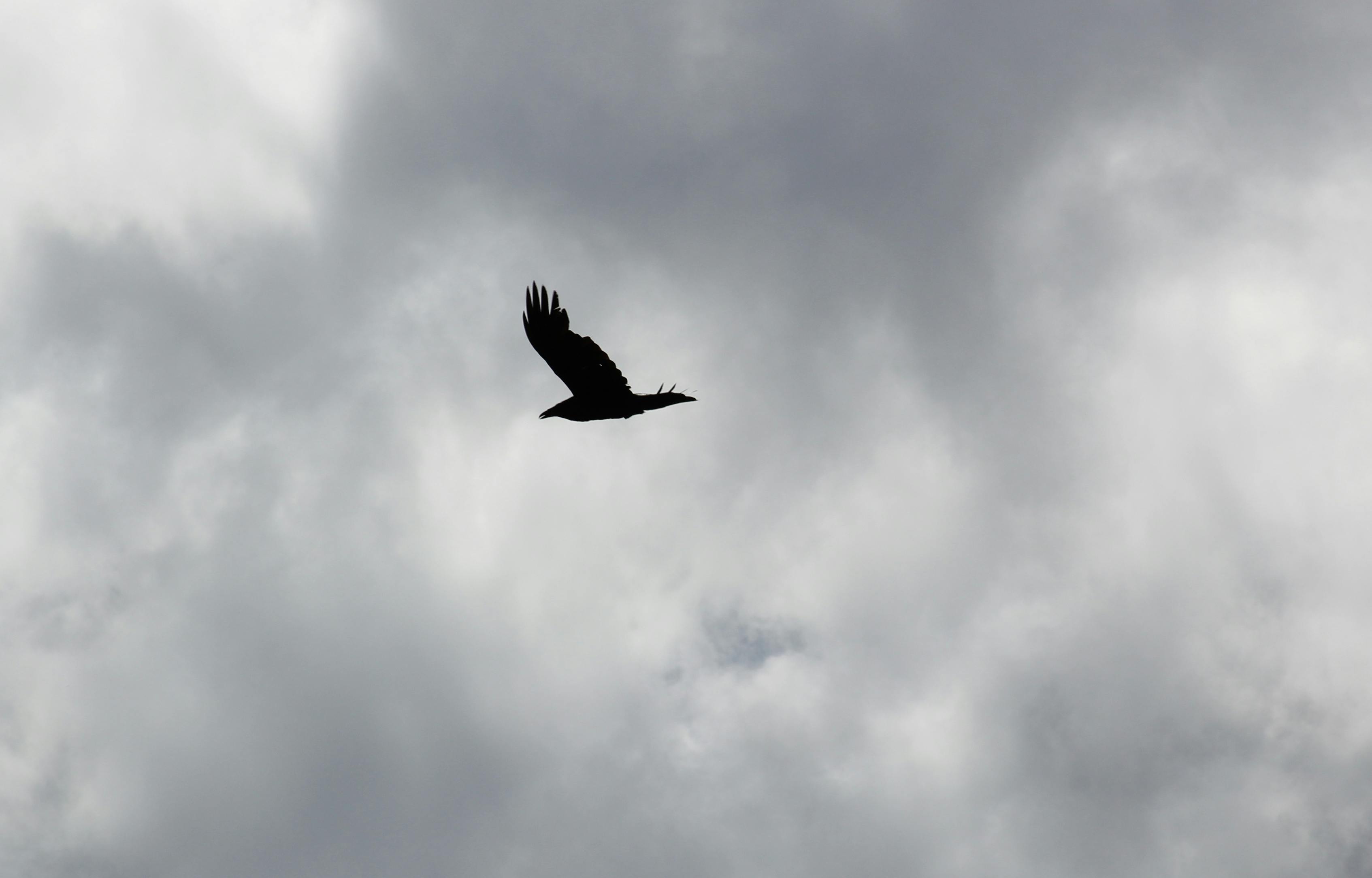 user avatar image for Matt