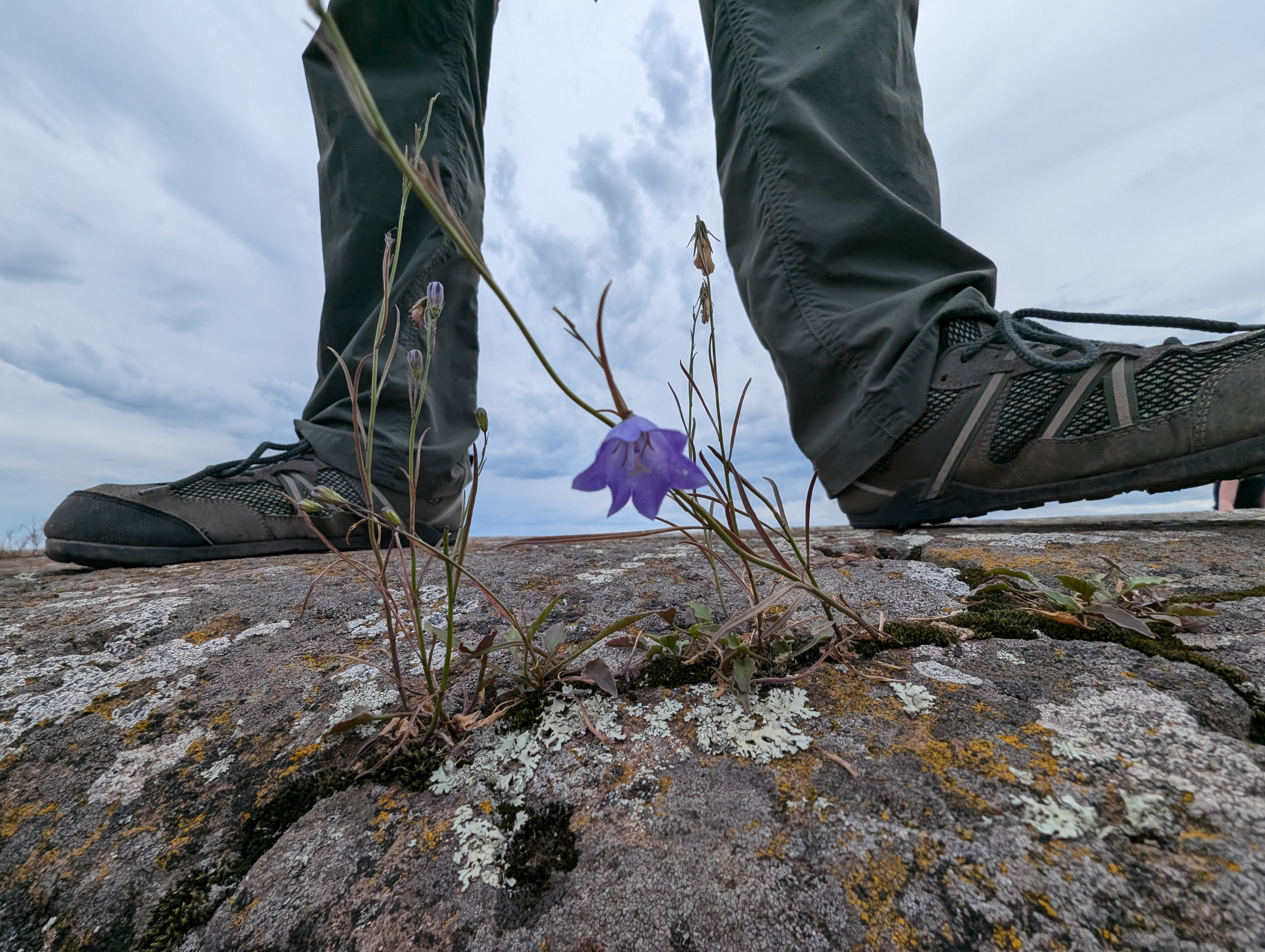 user avatar image for Krista Frank 