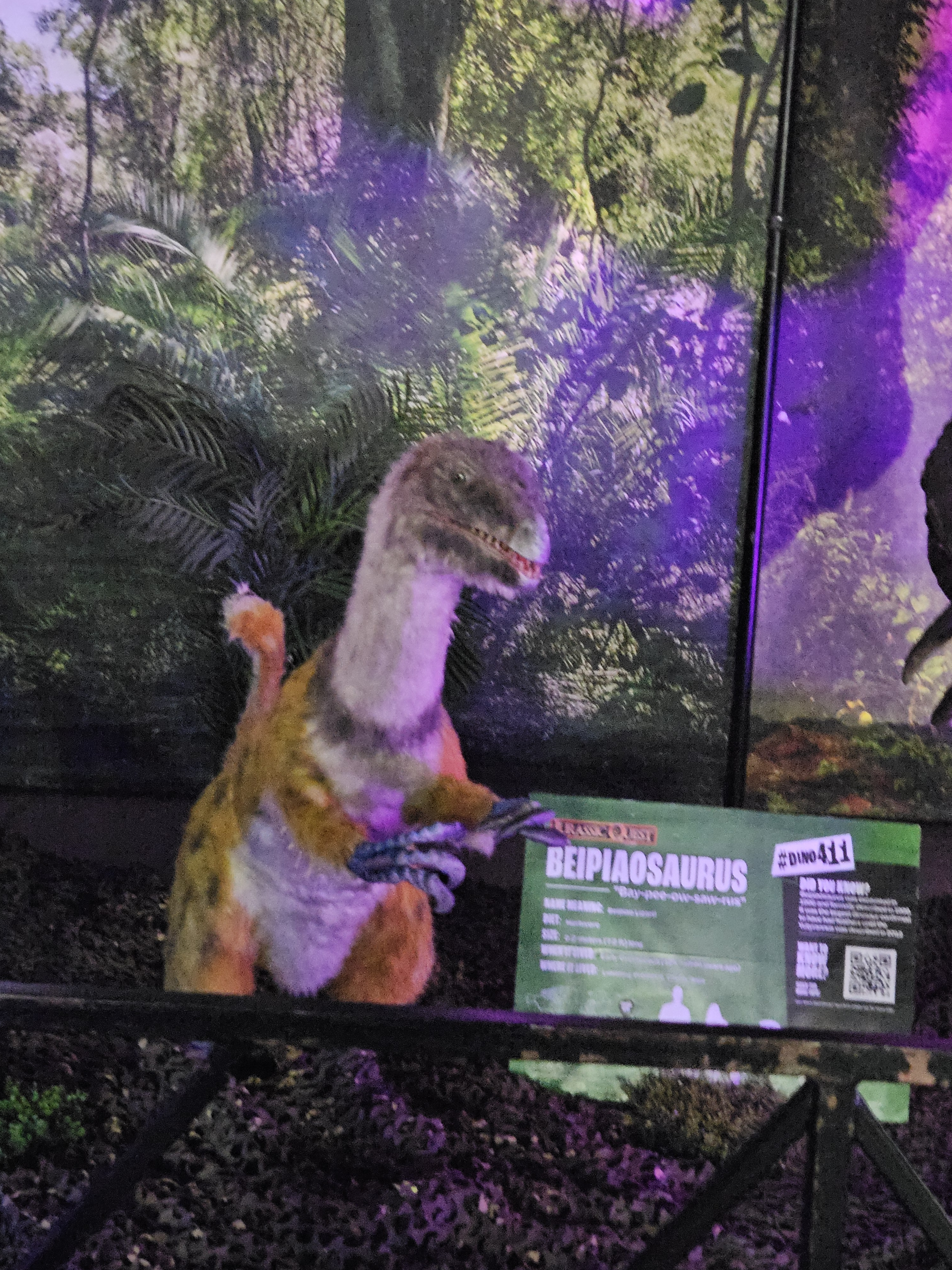 user avatar image for GeekDadRoo