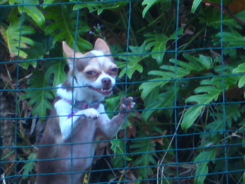 user avatar image for Emily