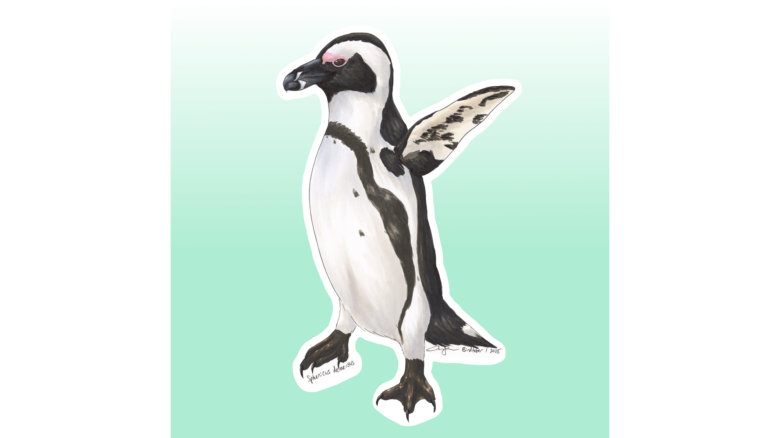 African Penguin Sticker Design