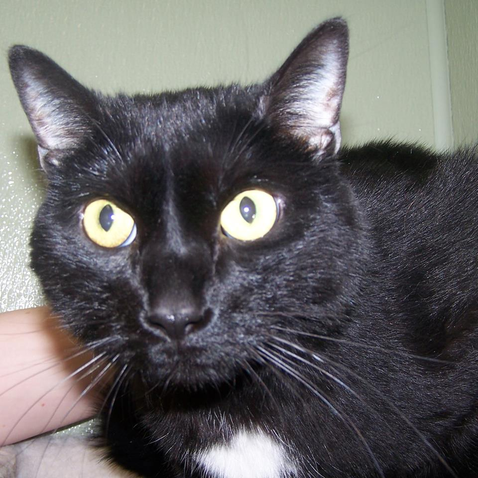 user avatar image for Sara