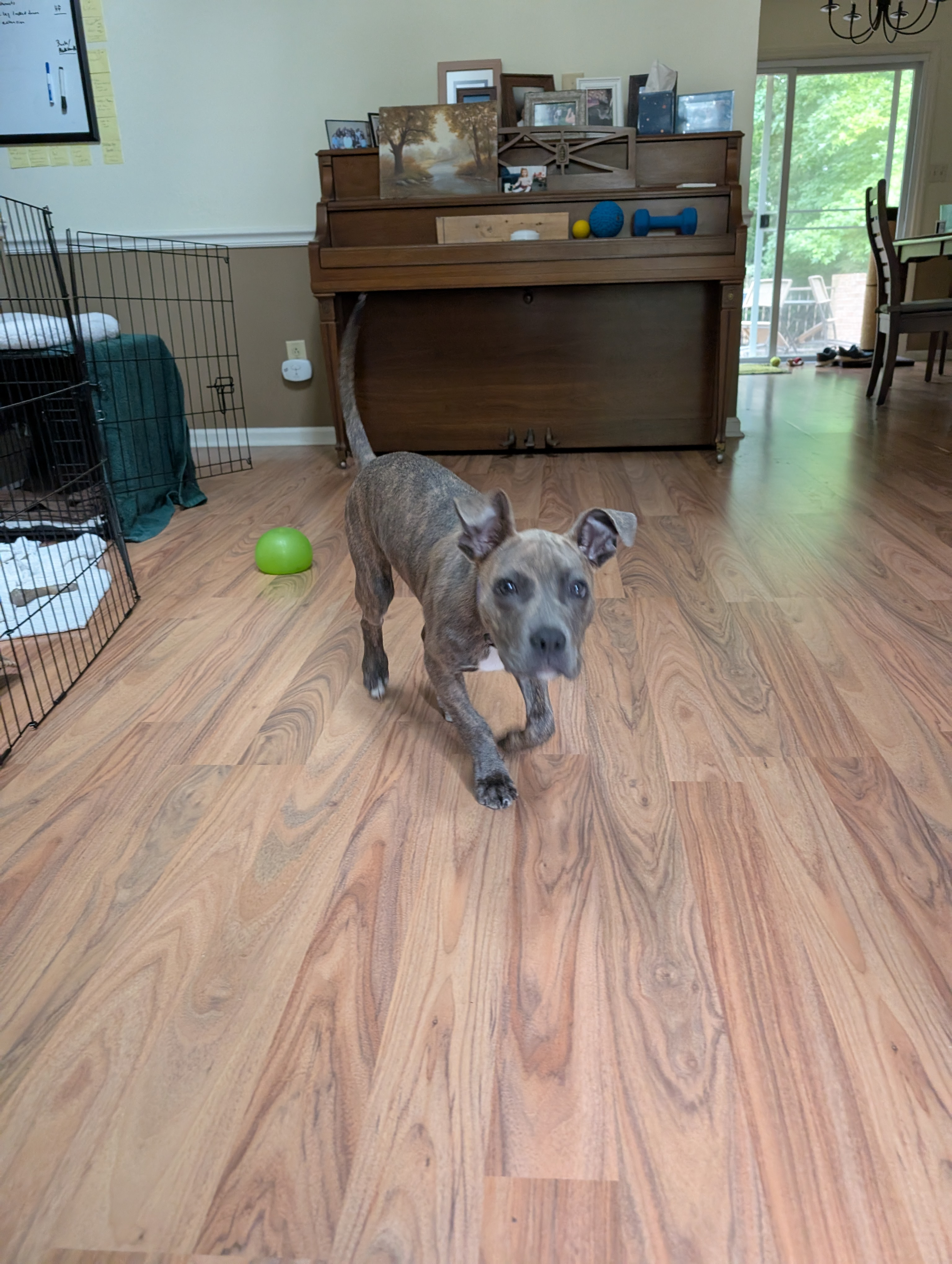 user avatar image for Jacob