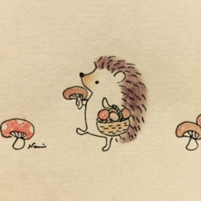 user avatar image for Jordan