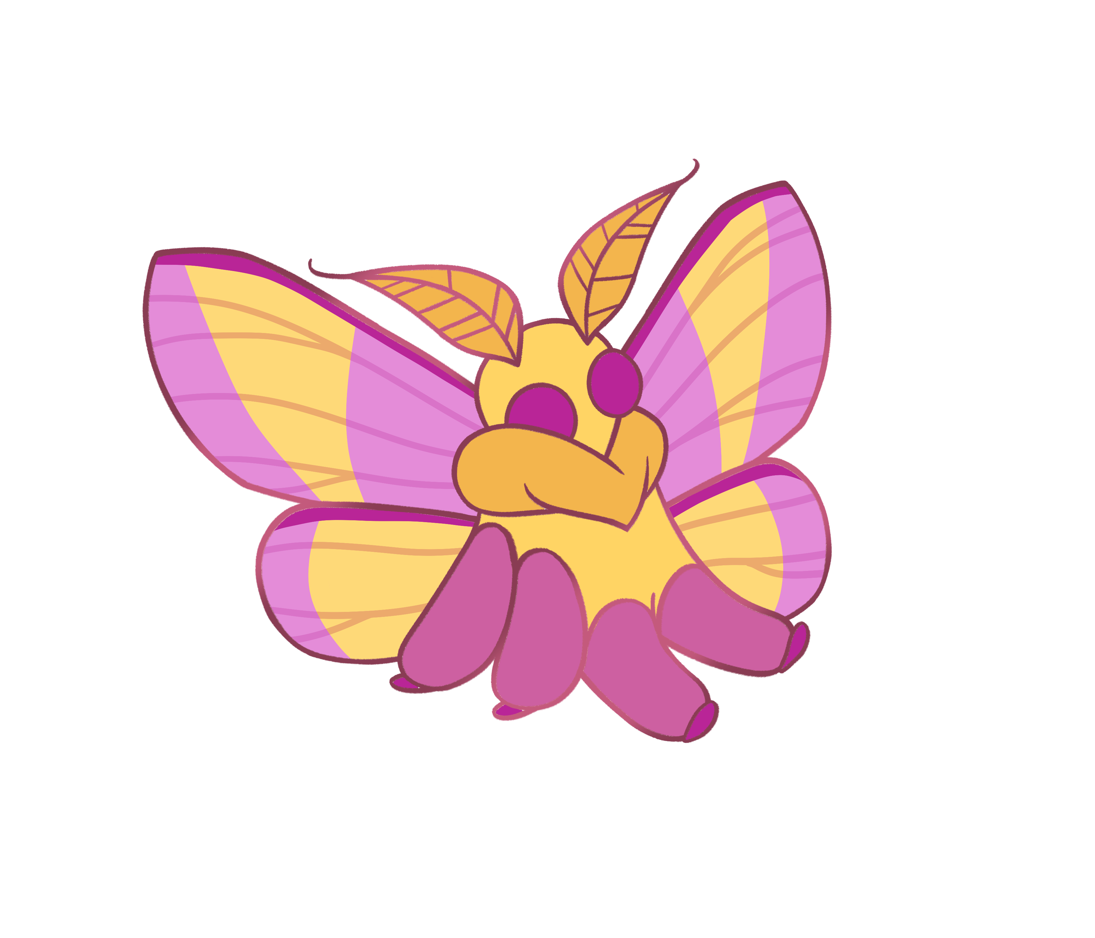 Rosy Maple Moth