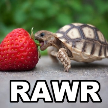 user avatar image for Lilinoe