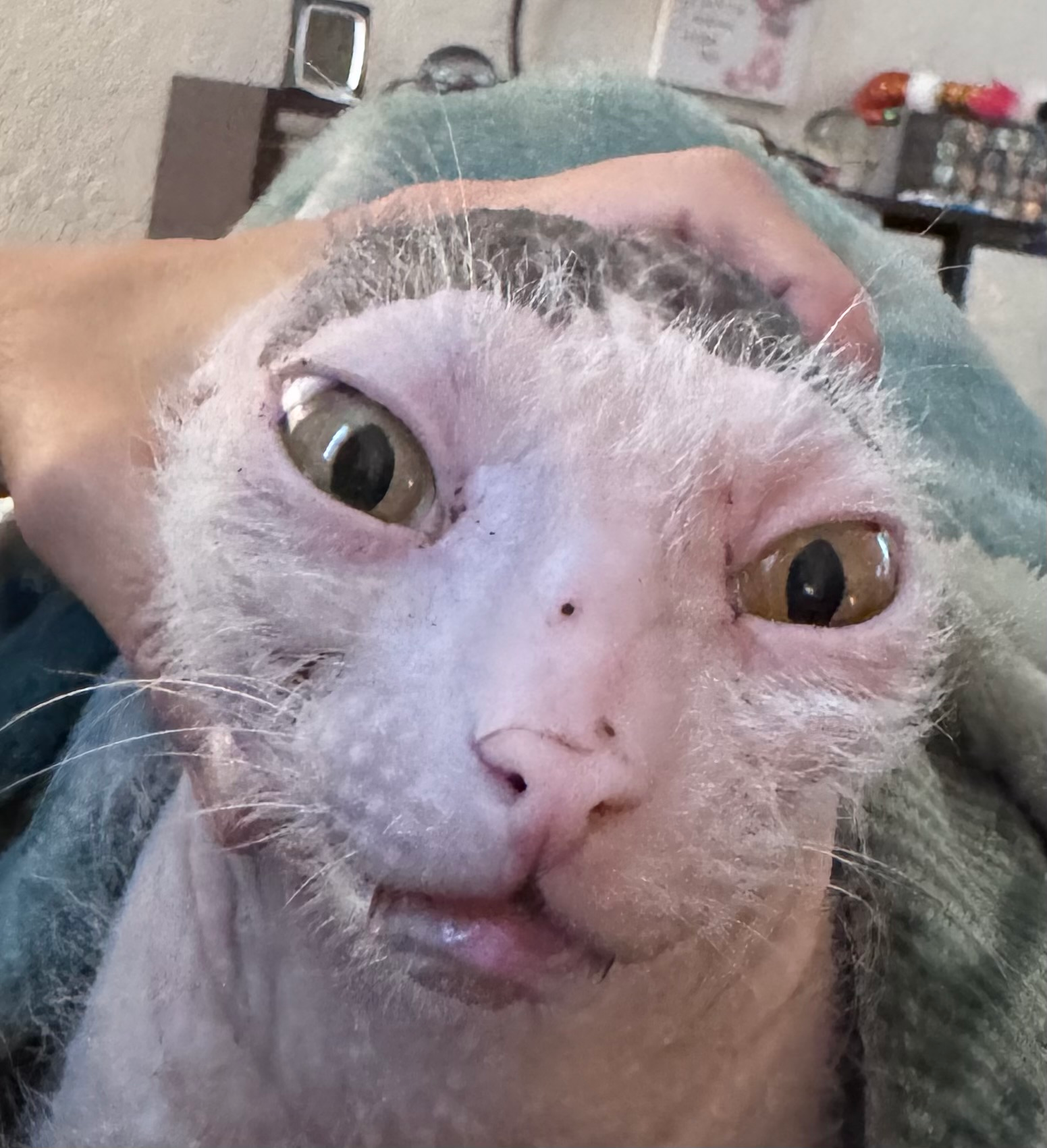 user avatar image for Steve Kerber