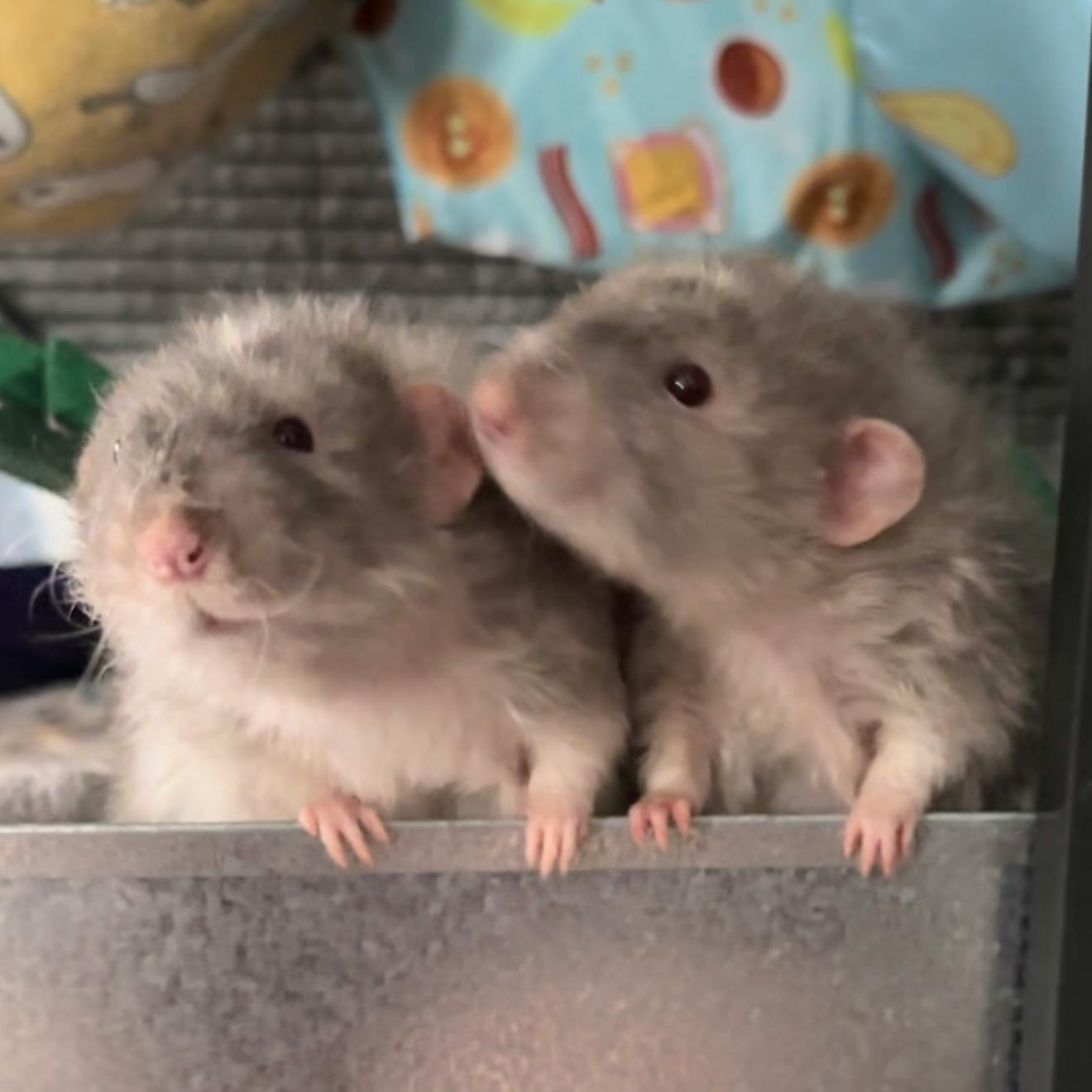 user avatar image for mars