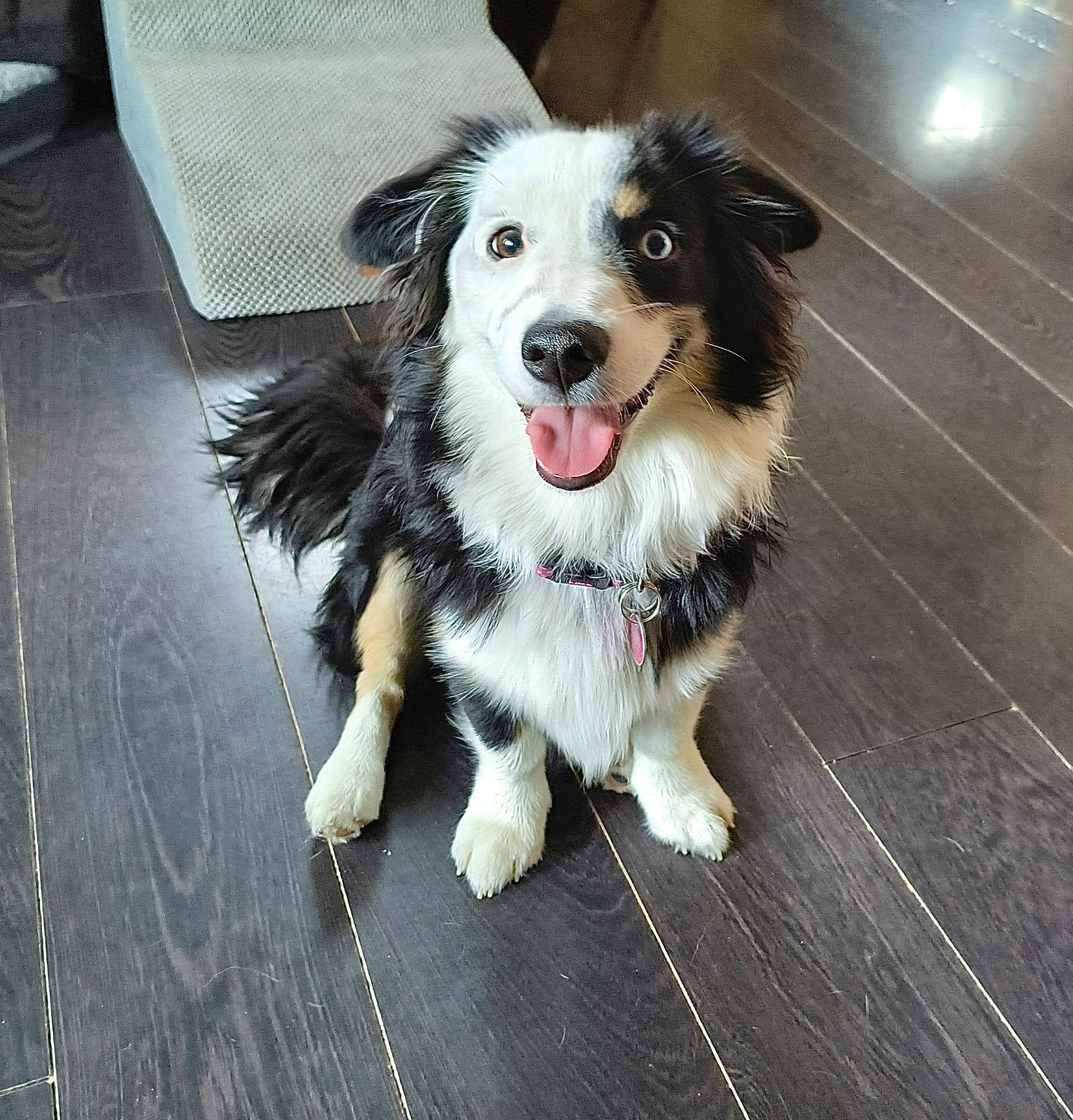 user avatar image for Janjette