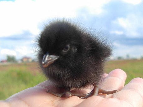 3. this baby