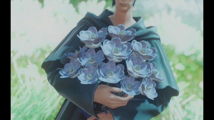 user avatar image for Turnip