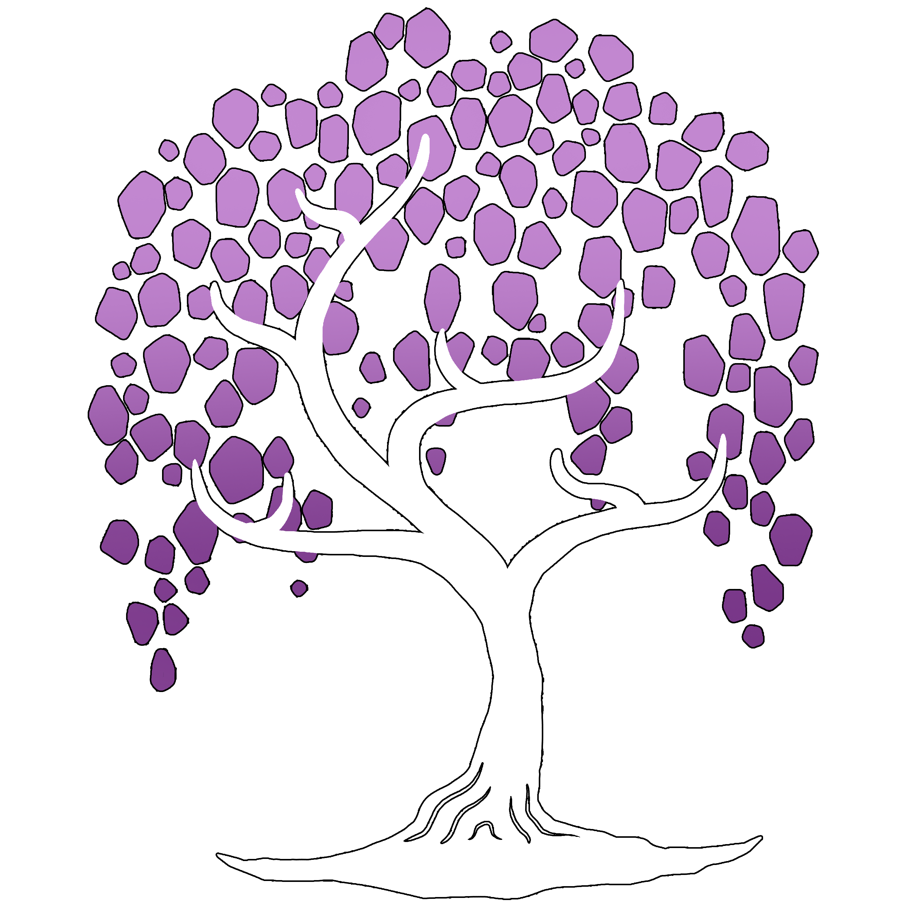 user avatar image for Jayke Paver