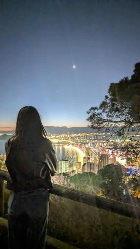 user avatar image for Mischa Yankus