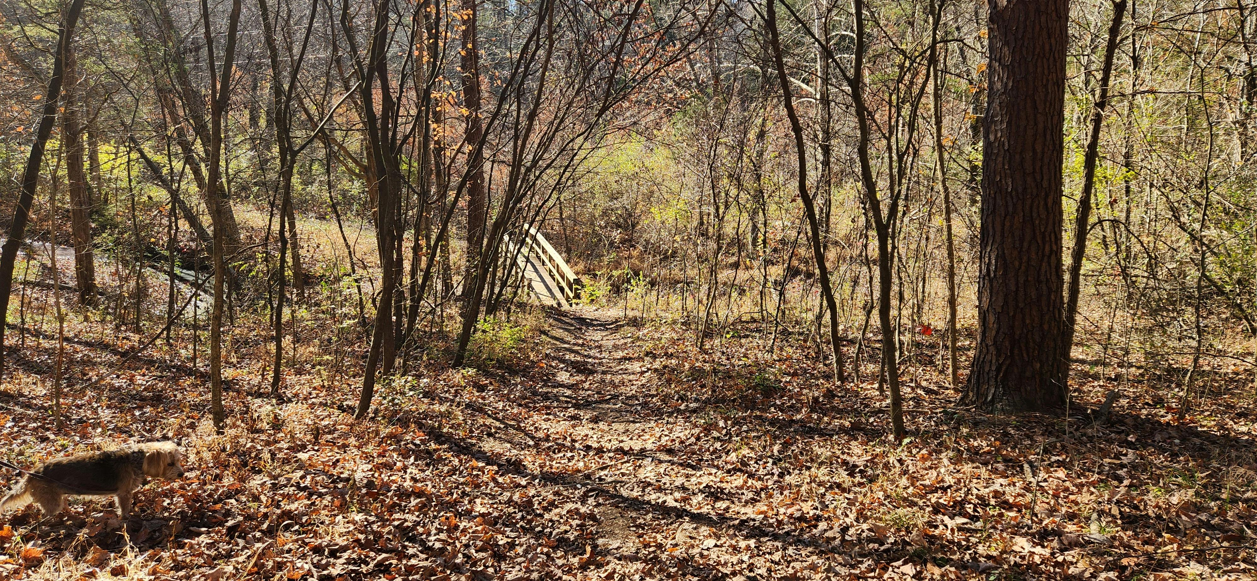 user avatar image for Dragkol