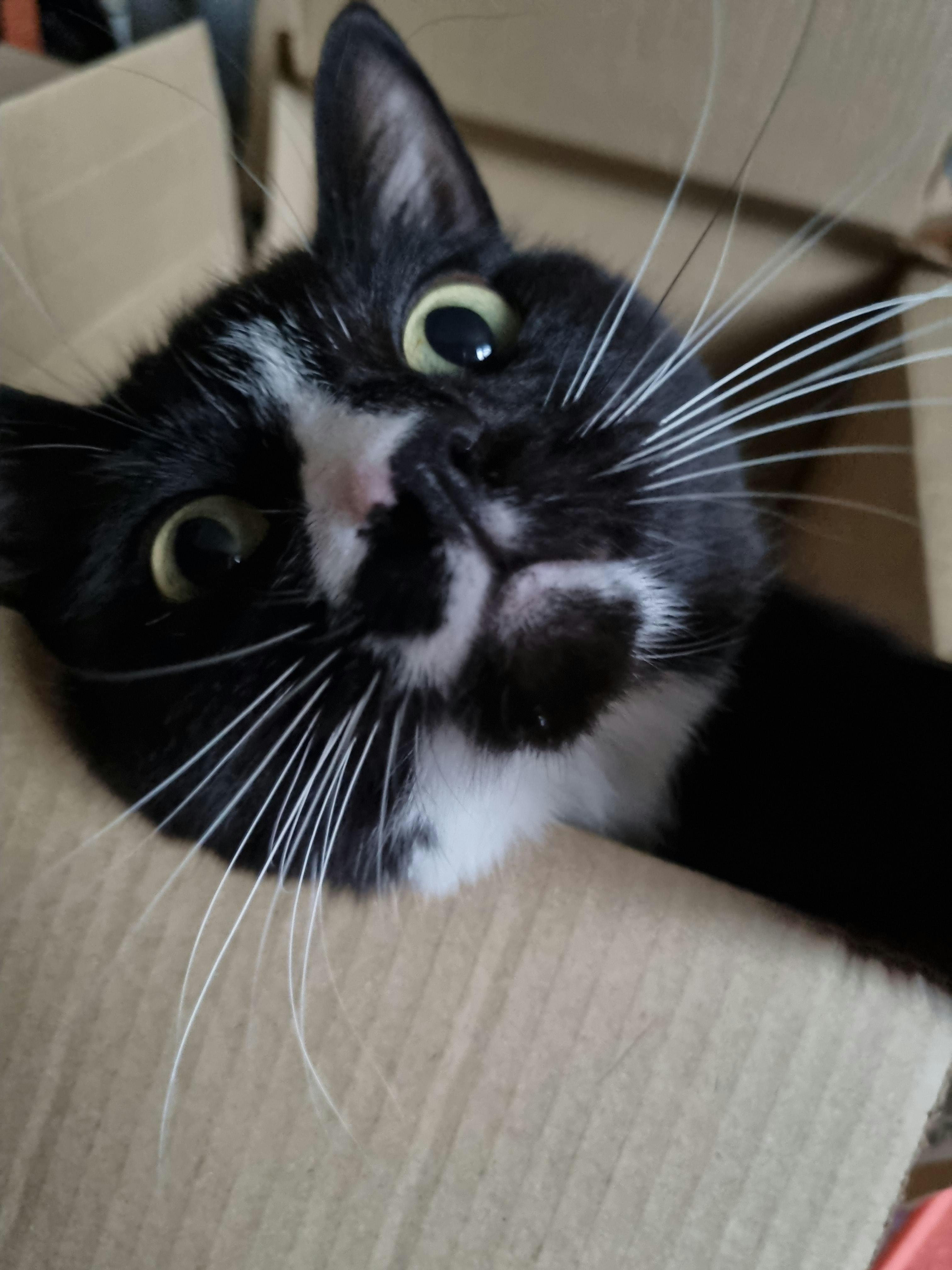 user avatar image for Briar