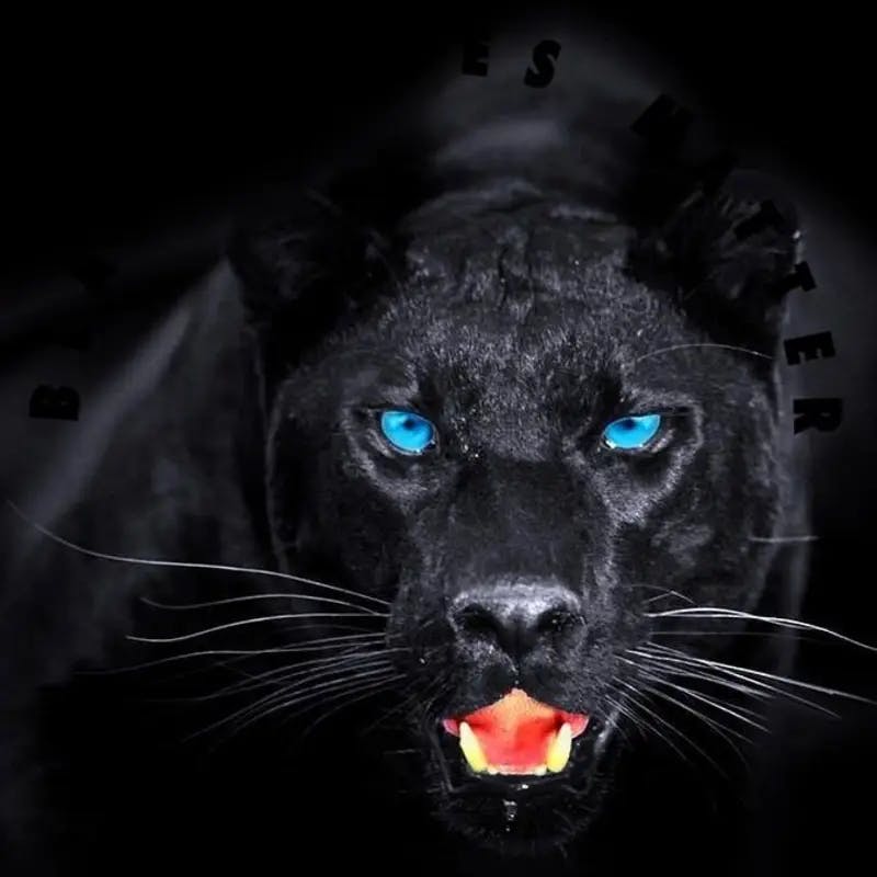 user avatar image for Linda Kelley